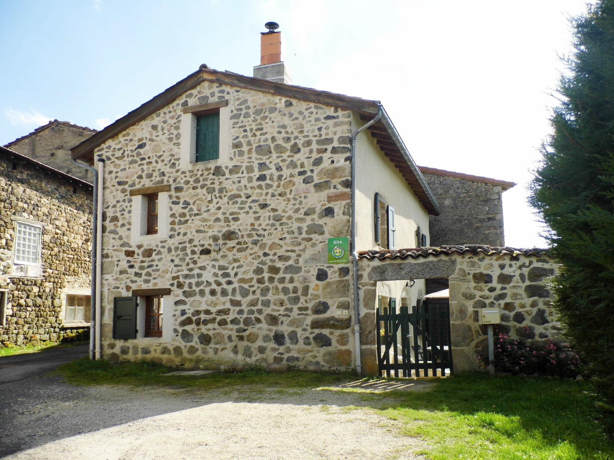 Foto 16 - Casa de 3 quartos em Saint-Julien-d'Ance com jardim e terraço