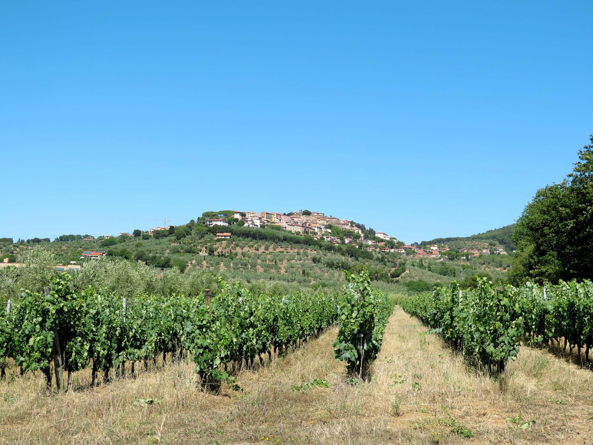 Photo 69 - 1 bedroom Apartment in Castagneto Carducci with swimming pool and garden