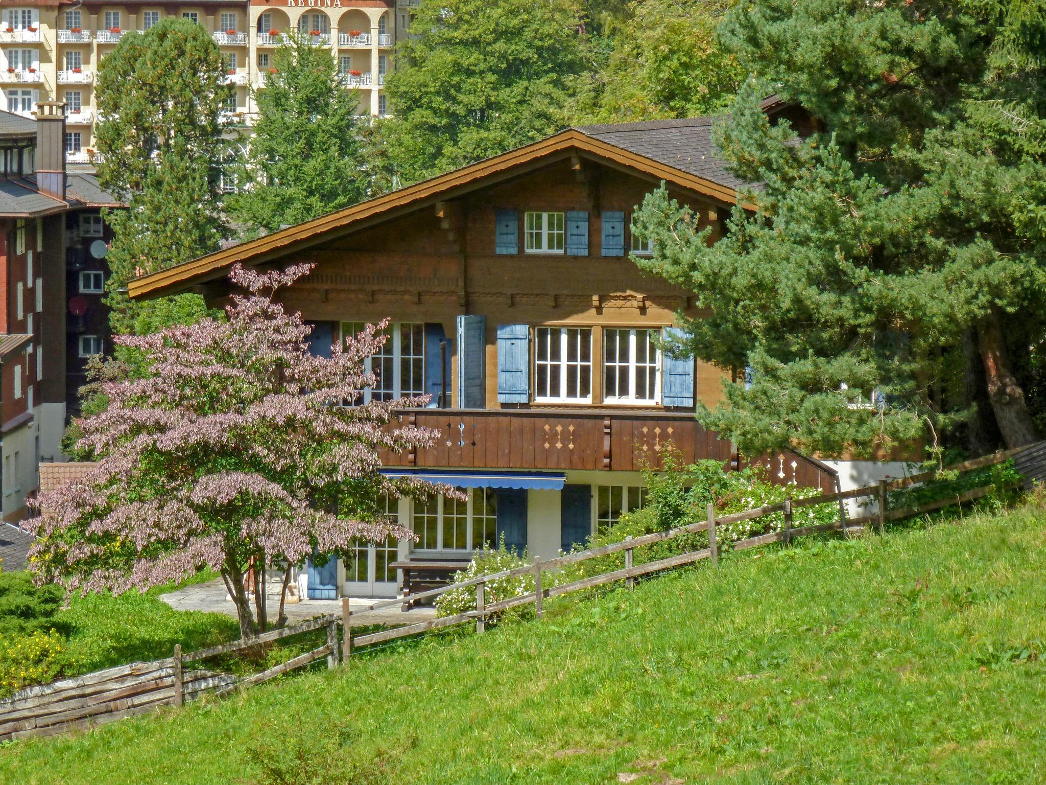 Photo 1 - Maison de 4 chambres à Lauterbrunnen avec jardin et terrasse