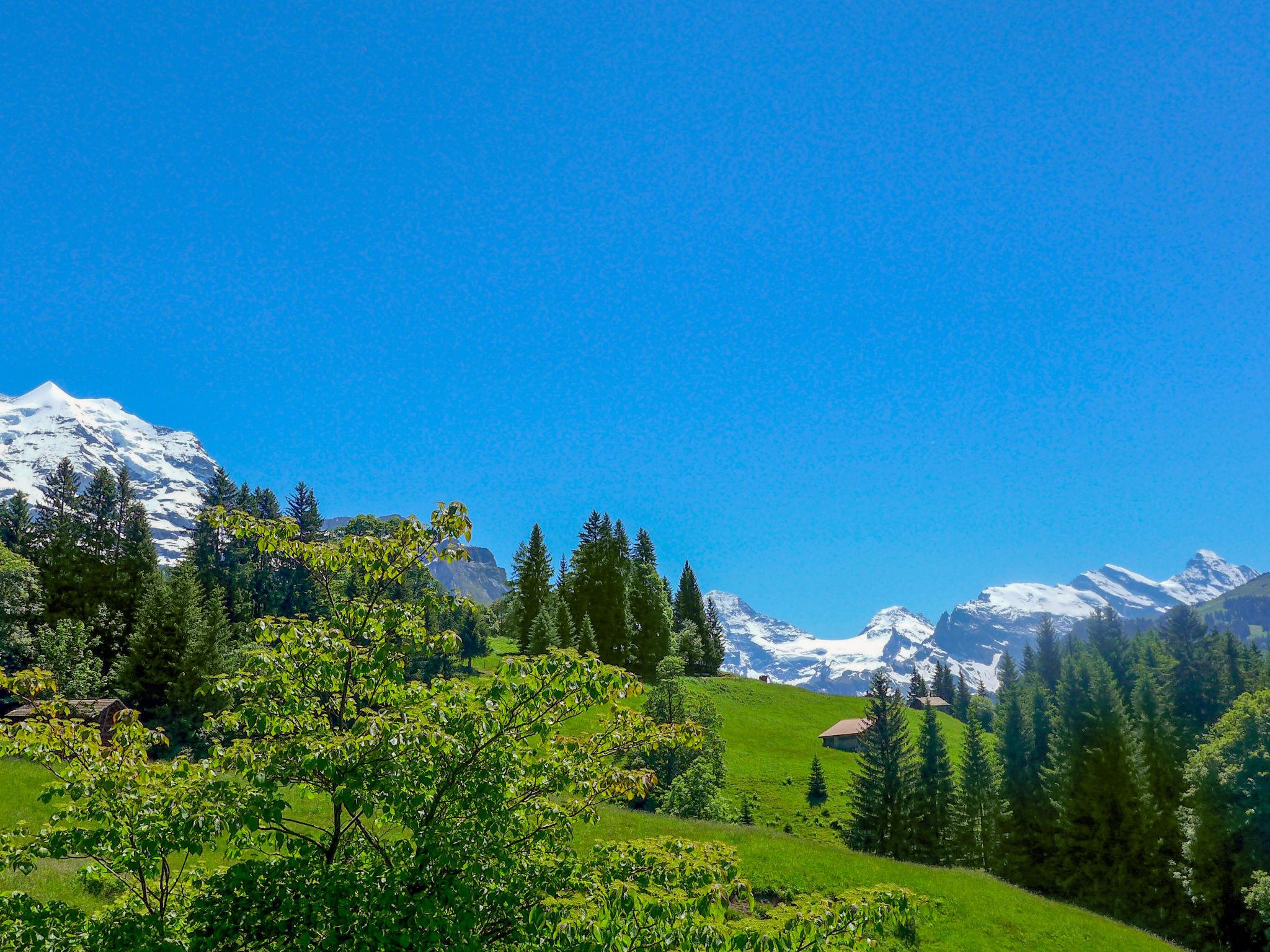 Photo 19 - Maison de 4 chambres à Lauterbrunnen avec jardin et terrasse