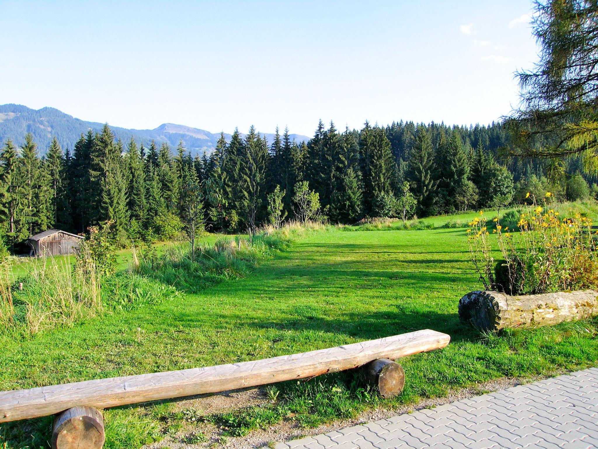 Foto 36 - Casa de 12 quartos em Wildschönau com jardim e vista para a montanha