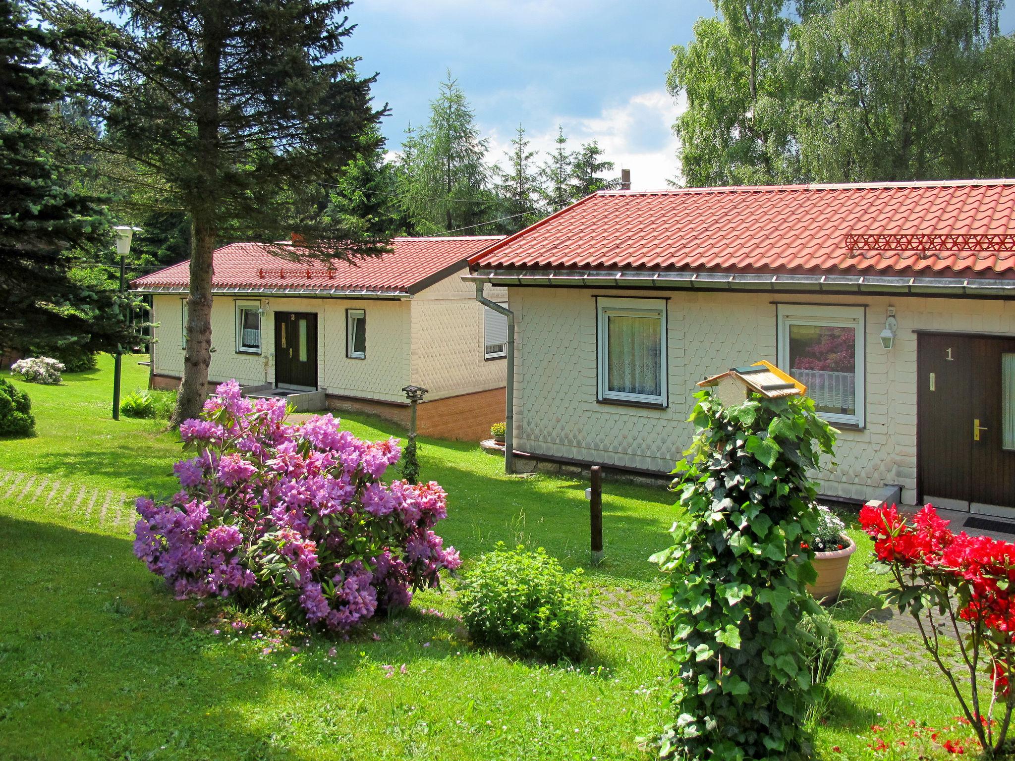 Foto 12 - Haus mit 2 Schlafzimmern in Steinbach-Hallenberg mit garten