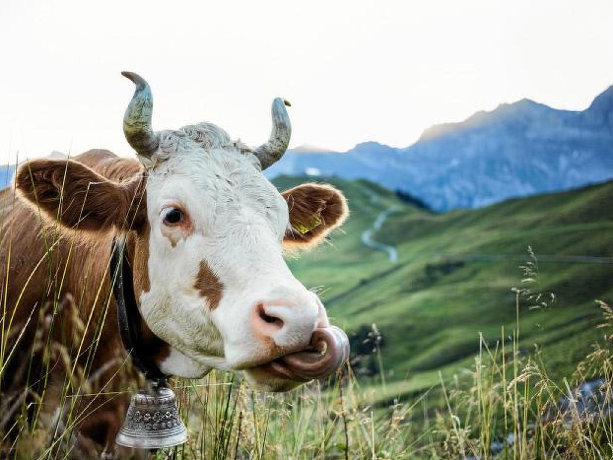 Foto 46 - Appartamento con 3 camere da letto a Adelboden