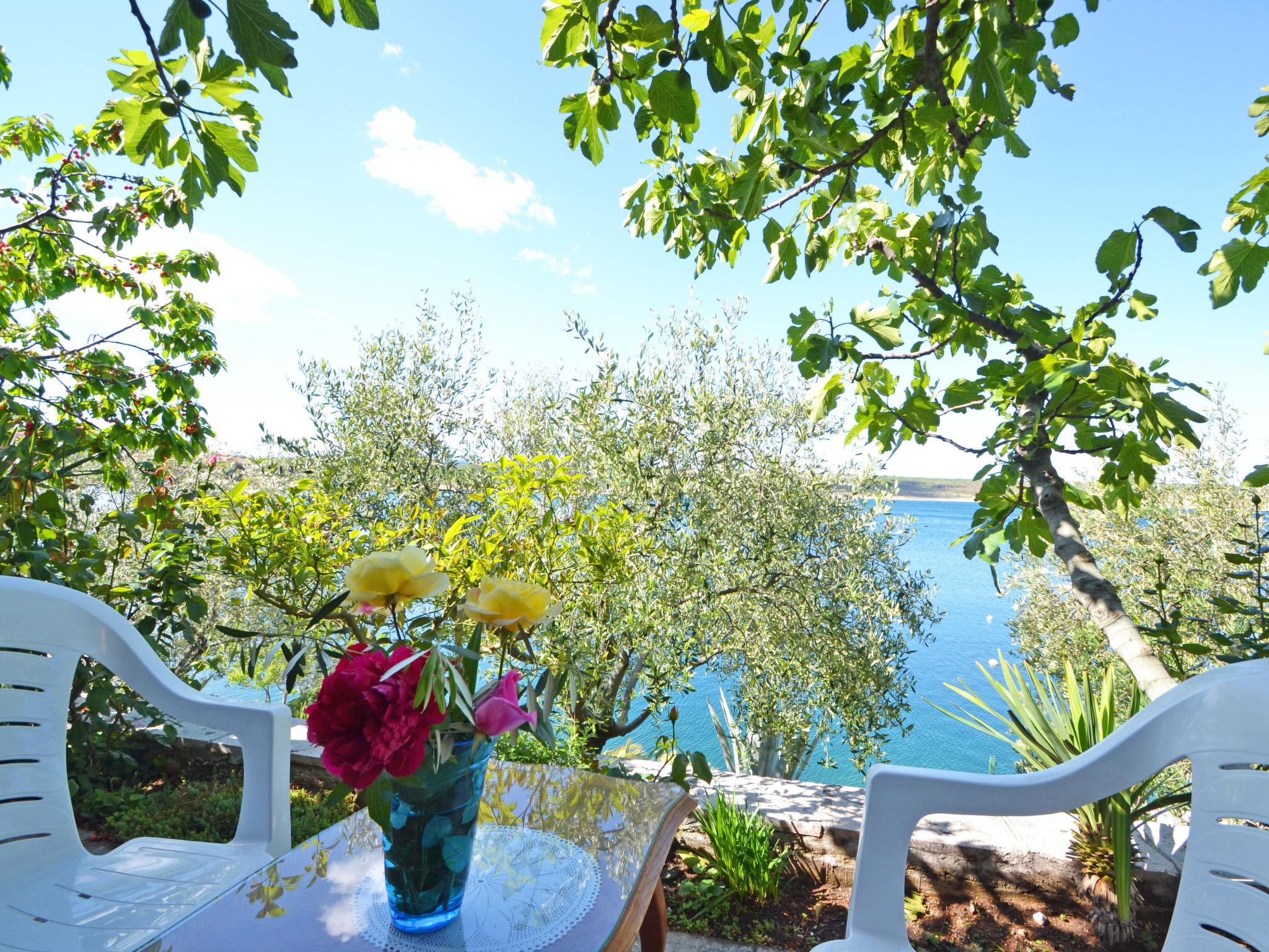Foto 8 - Apartamento de 1 habitación en Obrovac con jardín y vistas al mar