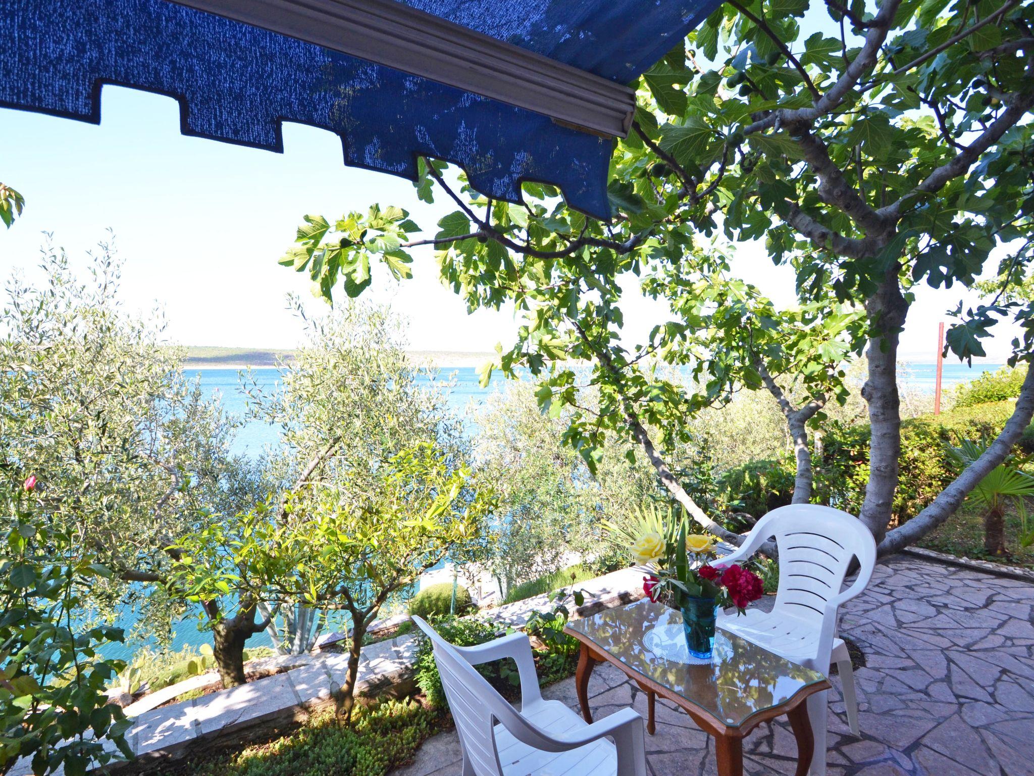 Foto 2 - Apartamento de 1 habitación en Obrovac con jardín y vistas al mar
