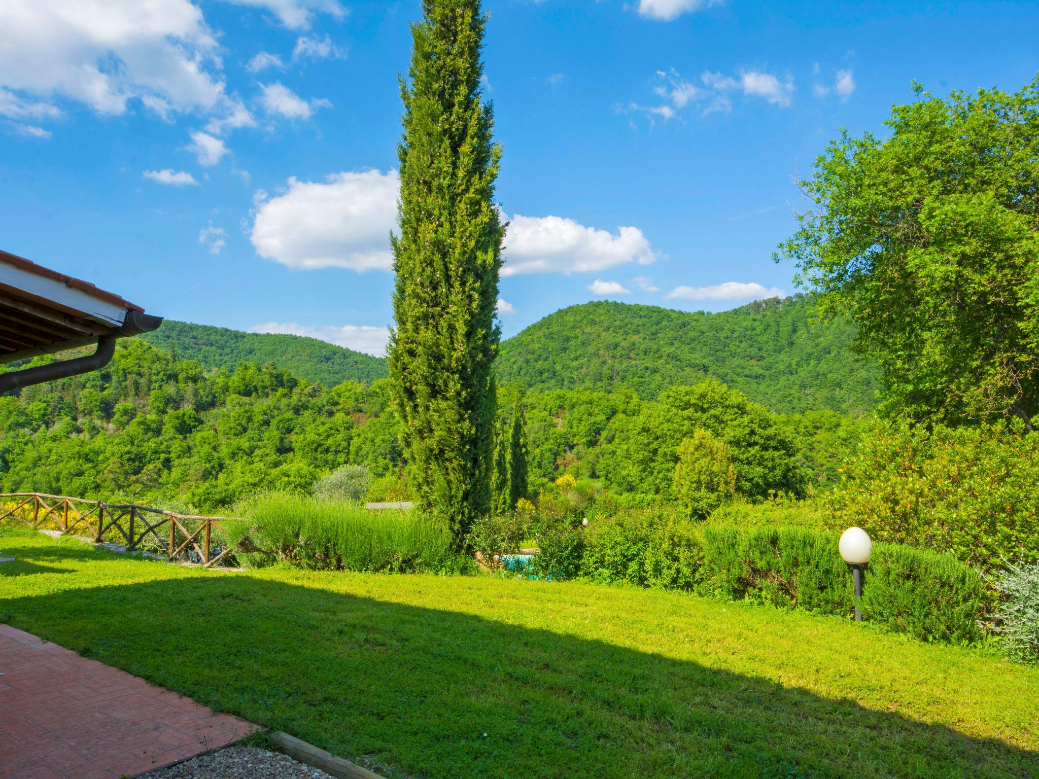 Photo 6 - 3 bedroom House in Greve in Chianti with swimming pool