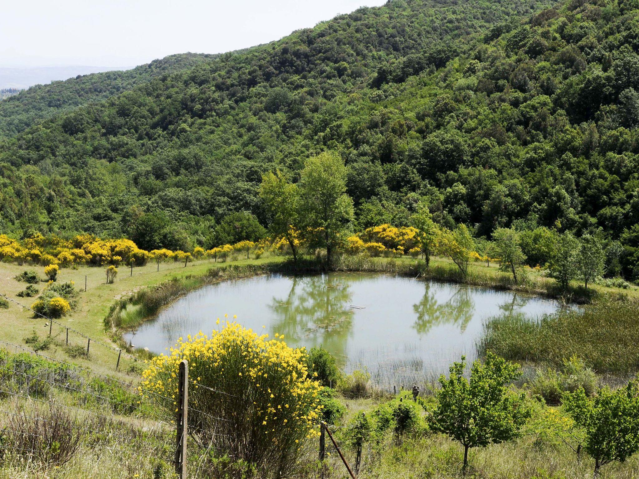 Photo 27 - 1 bedroom Apartment in Gambassi Terme with swimming pool and garden