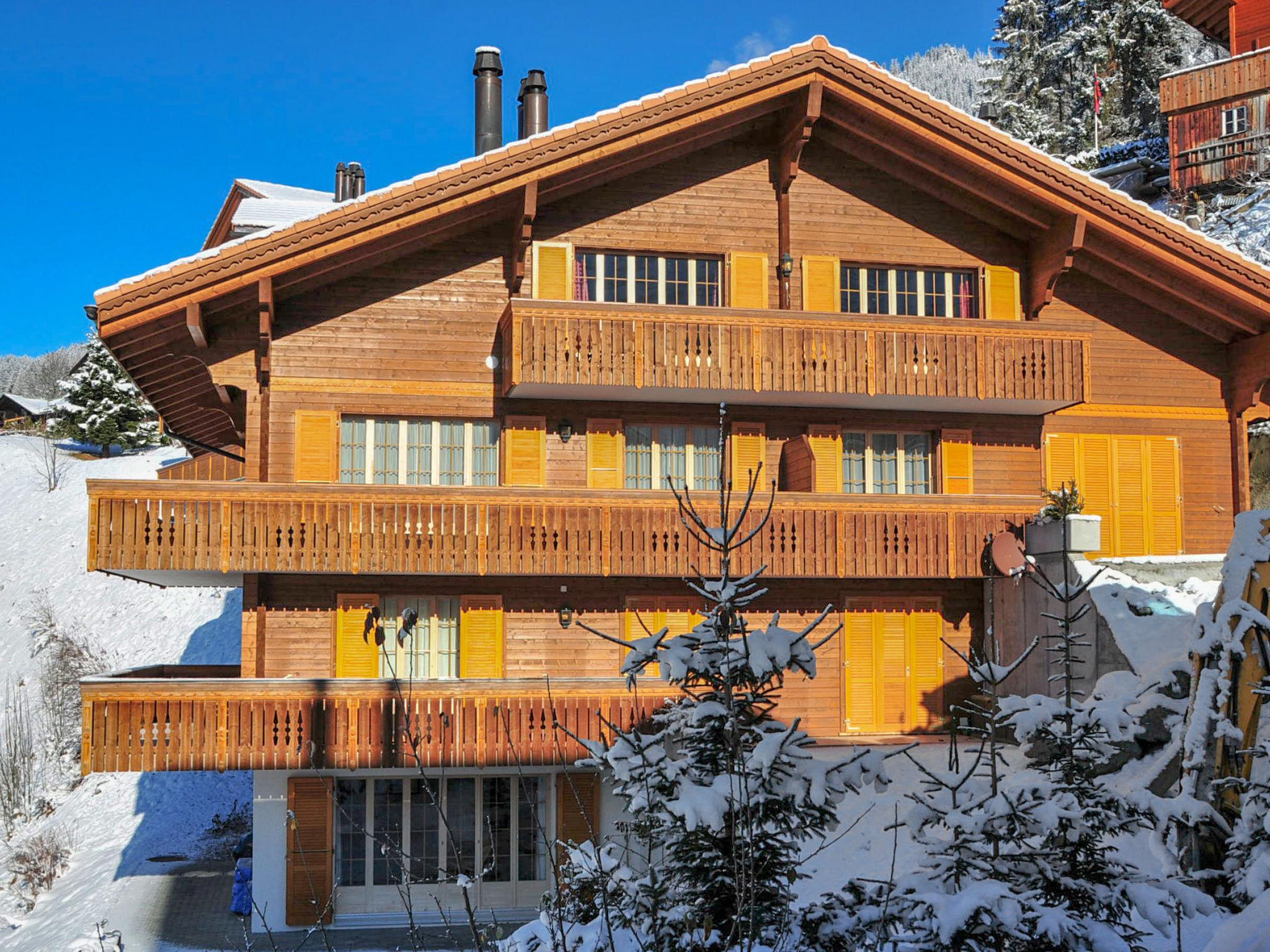 Photo 19 - Appartement de 3 chambres à Lauterbrunnen avec jardin