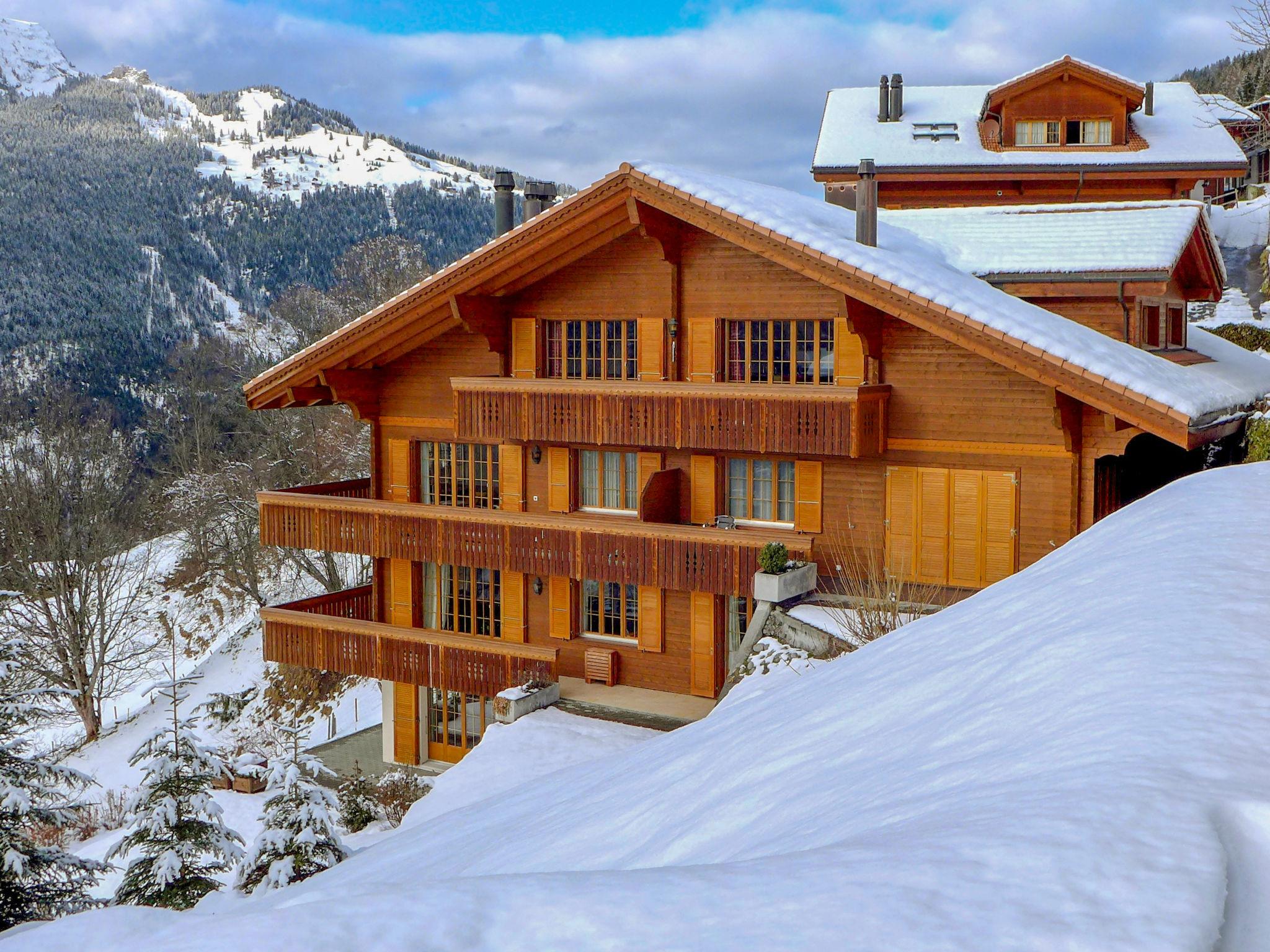 Foto 17 - Apartamento de 3 quartos em Lauterbrunnen com vista para a montanha