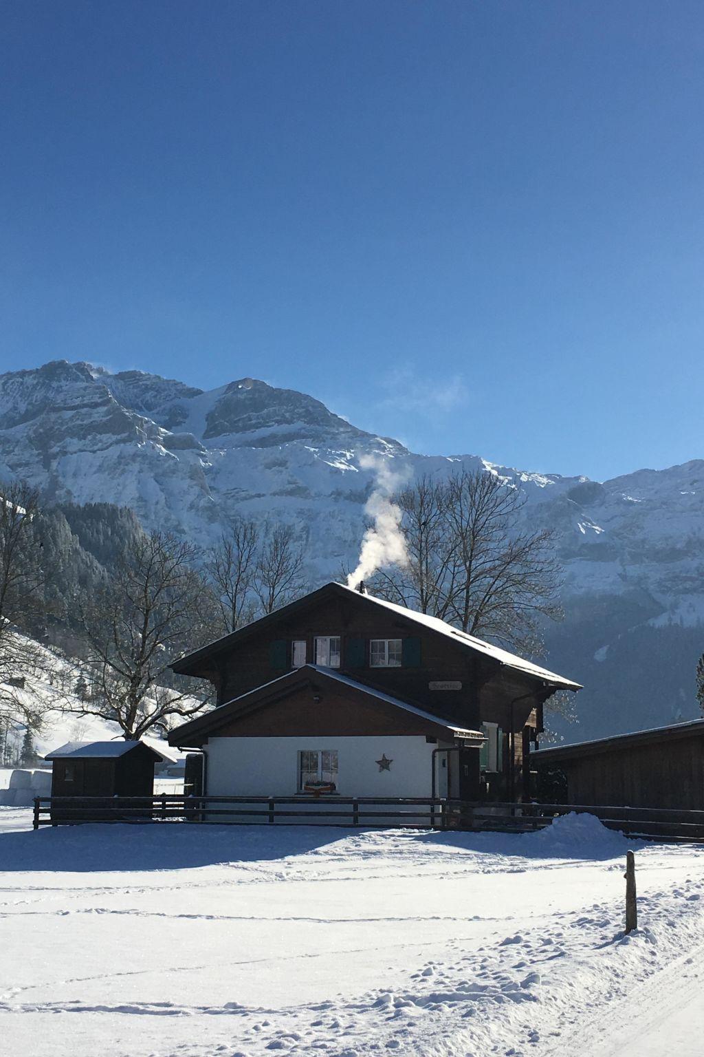 Photo 6 - Appartement de 3 chambres à Lenk avec jardin