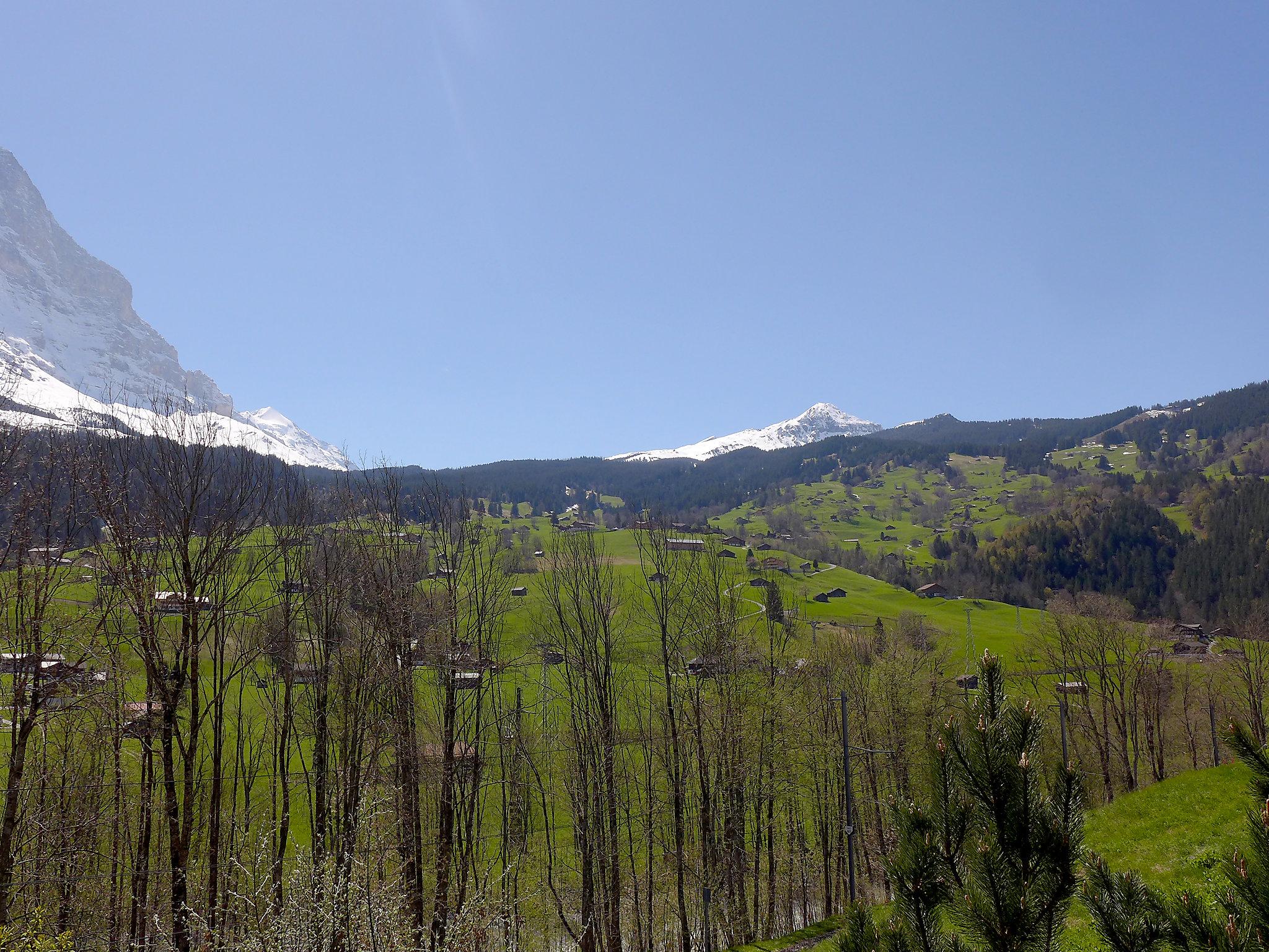 Foto 21 - Apartamento de 3 quartos em Grindelwald com jardim e terraço