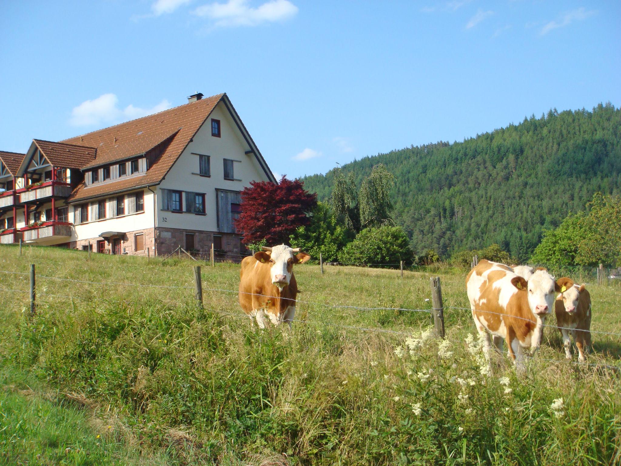 Foto 6 - Appartamento con 2 camere da letto a Baiersbronn con giardino e vista sulle montagne