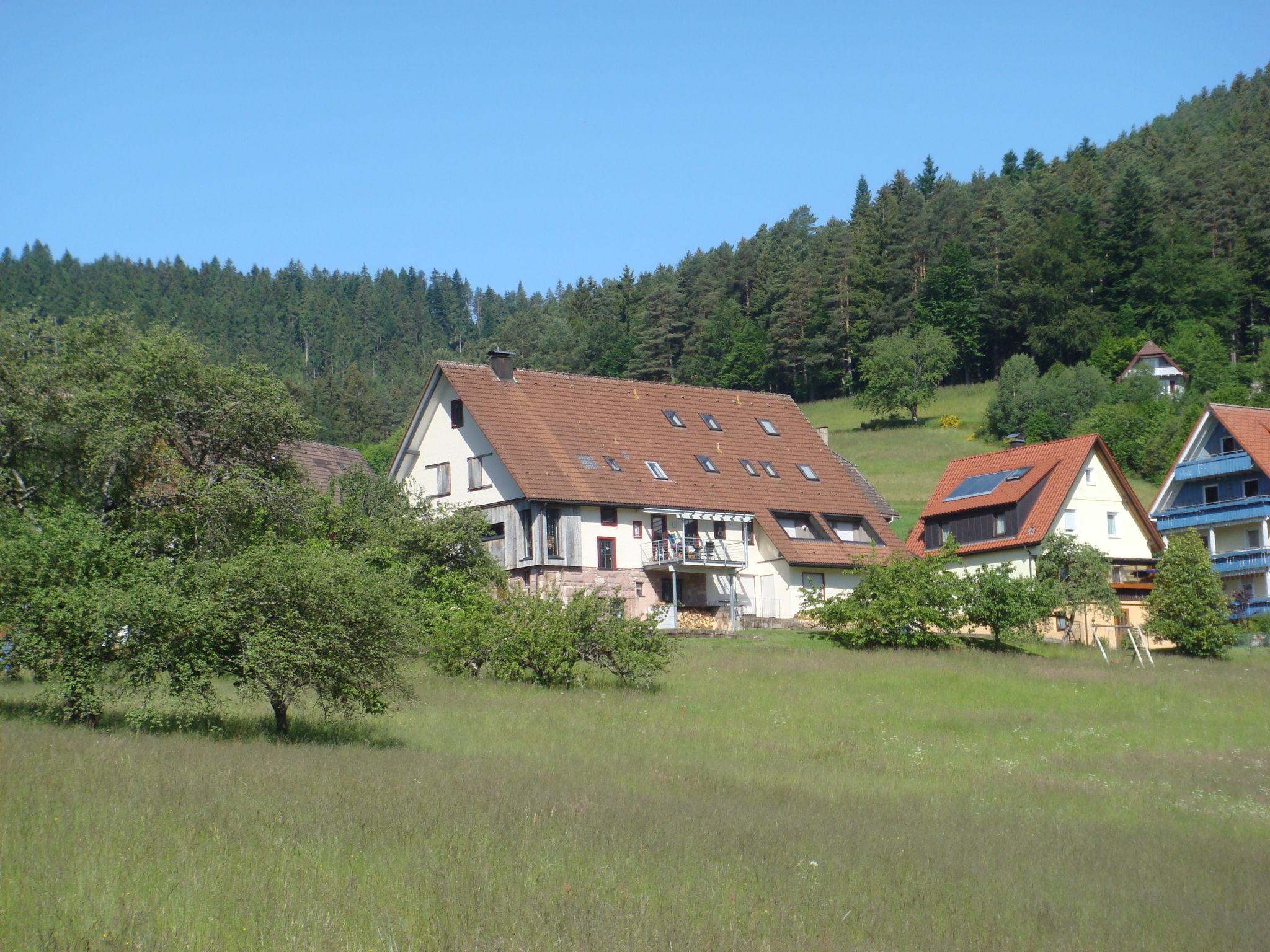 Foto 10 - Appartamento con 2 camere da letto a Baiersbronn con giardino e vista sulle montagne