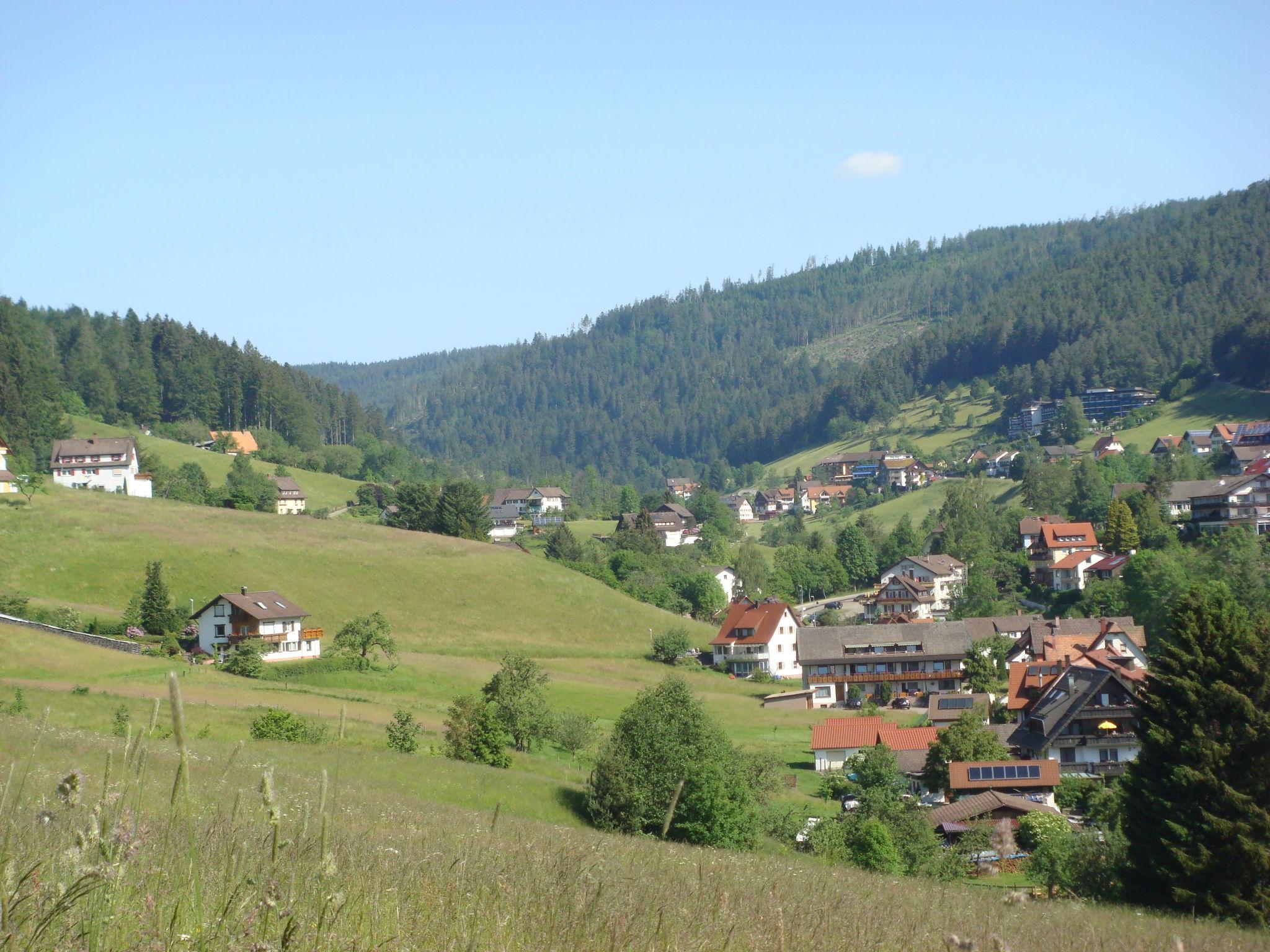 Photo 24 - 2 bedroom Apartment in Baiersbronn with garden and terrace