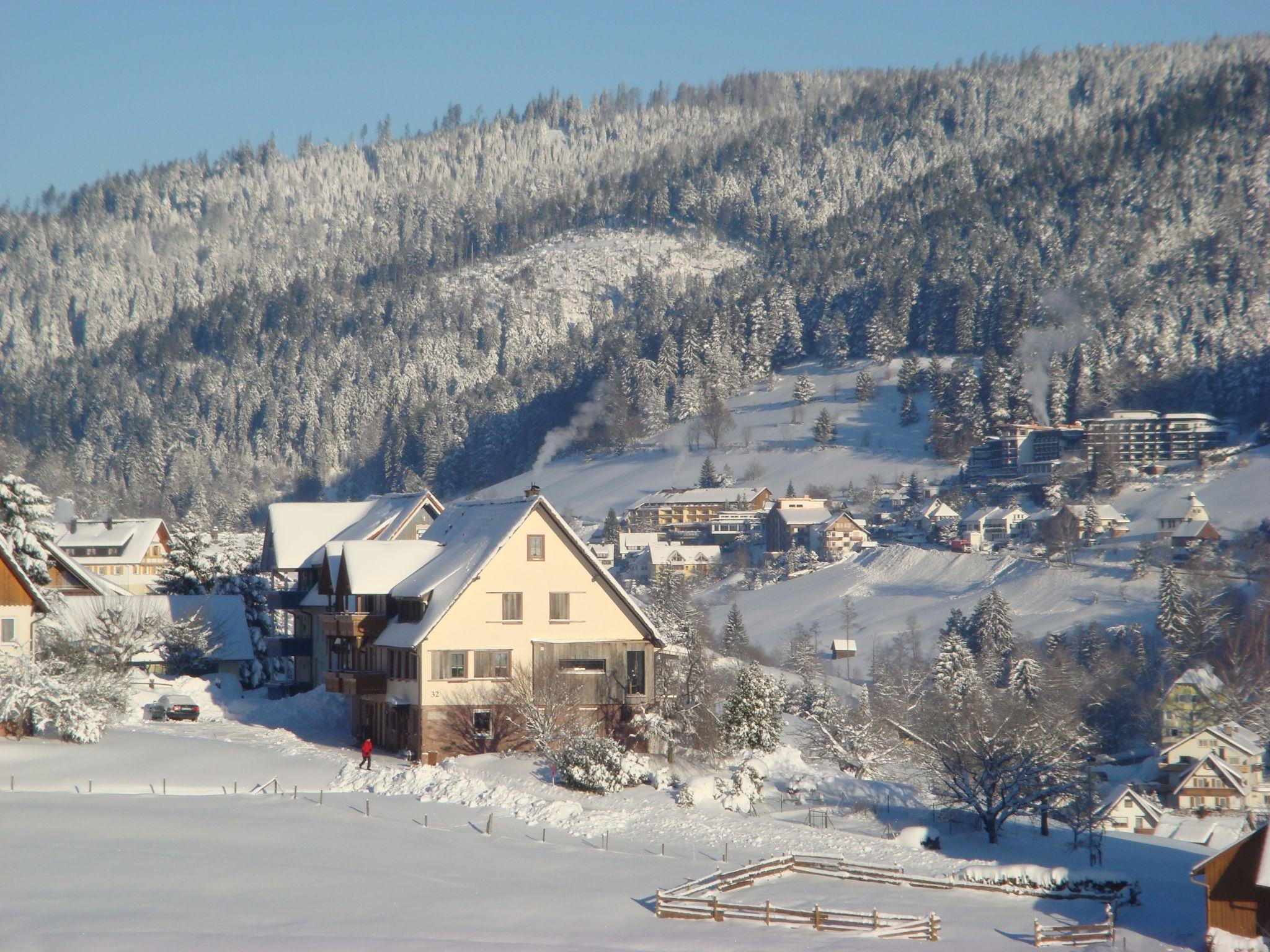 Foto 17 - Apartamento de 2 habitaciones en Baiersbronn con jardín y vistas a la montaña