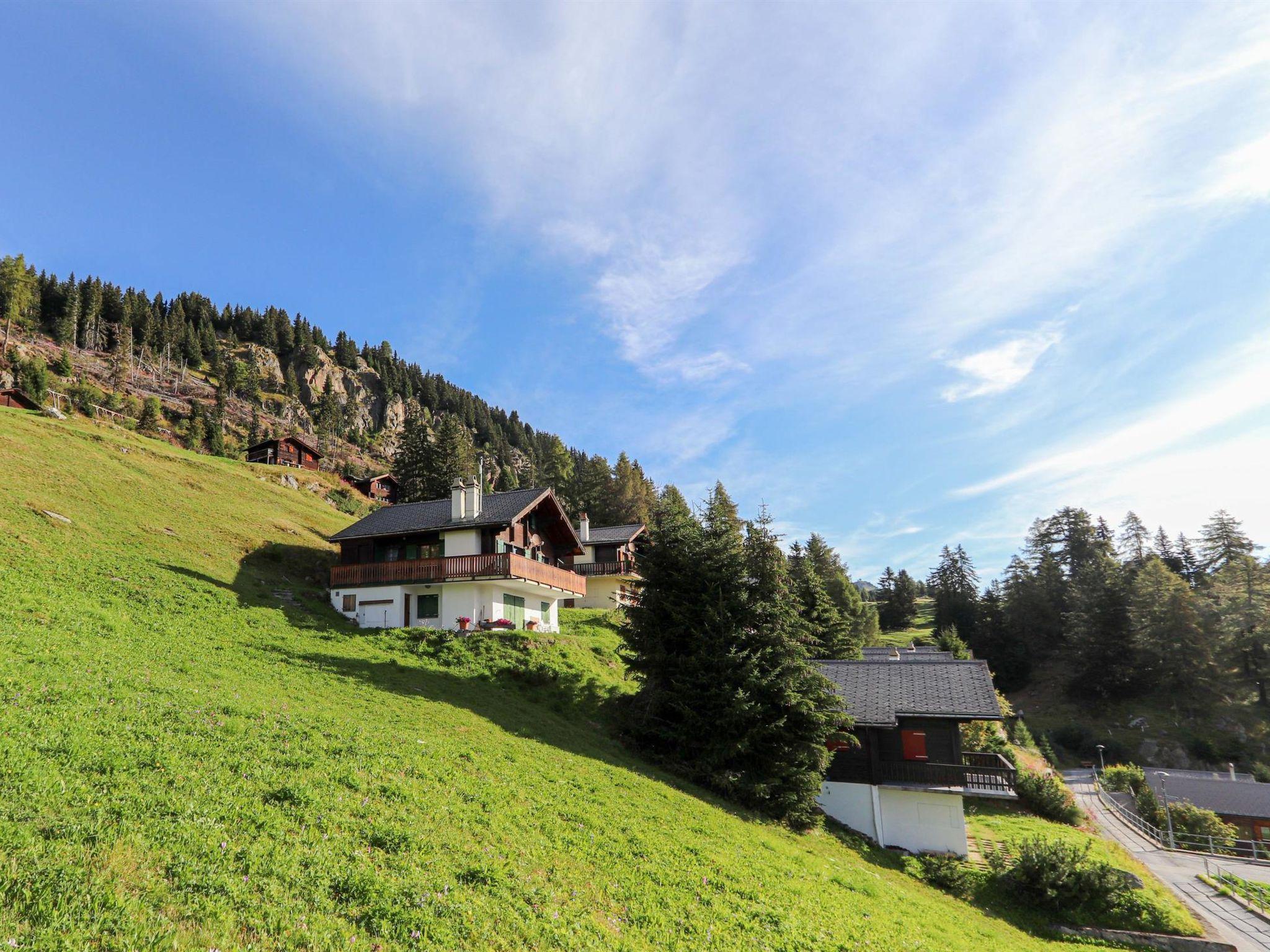 Foto 5 - Apartment mit 2 Schlafzimmern in Riederalp