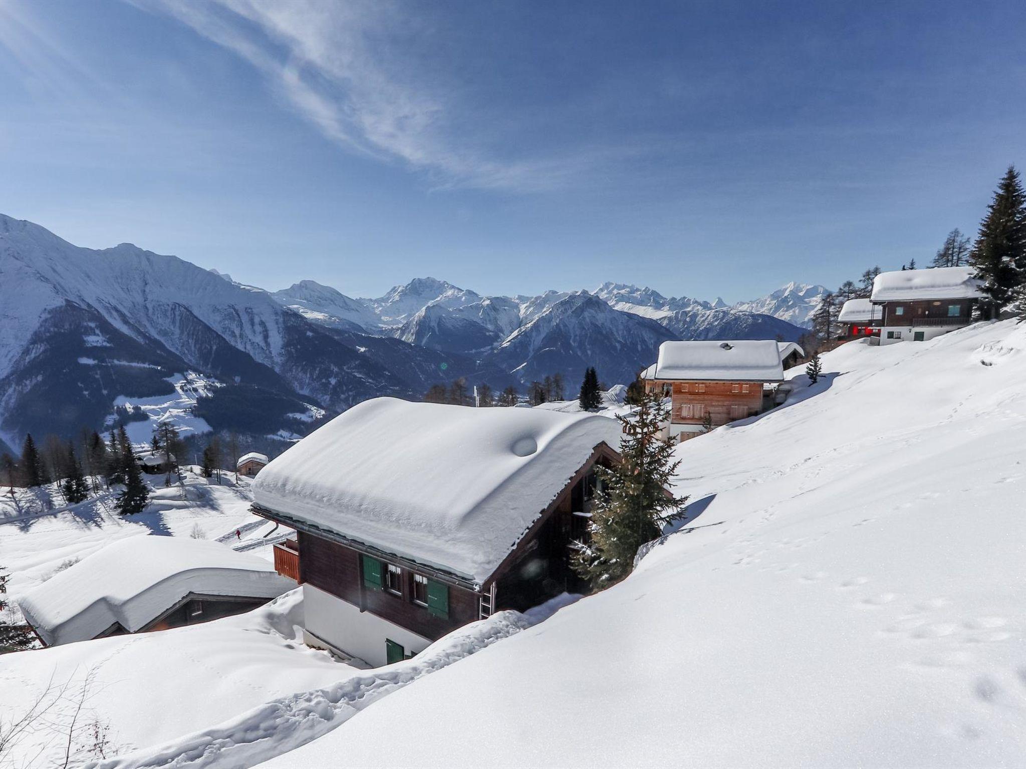 Foto 40 - Apartment mit 2 Schlafzimmern in Riederalp