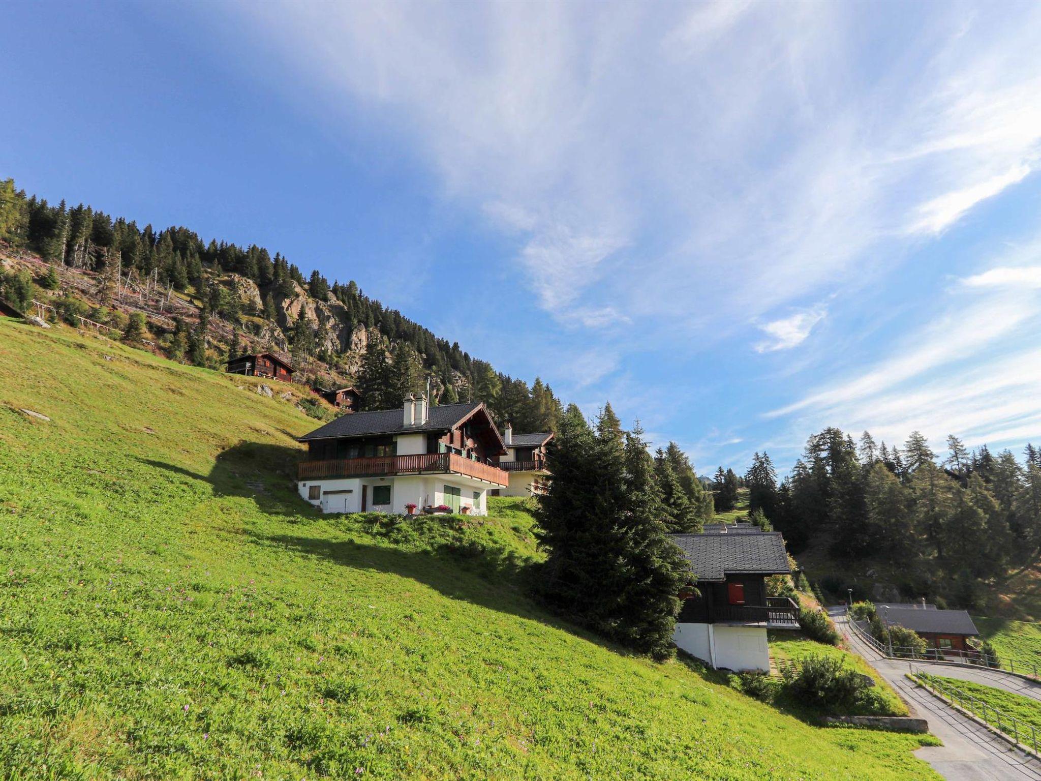 Photo 6 - Appartement de 2 chambres à Riederalp