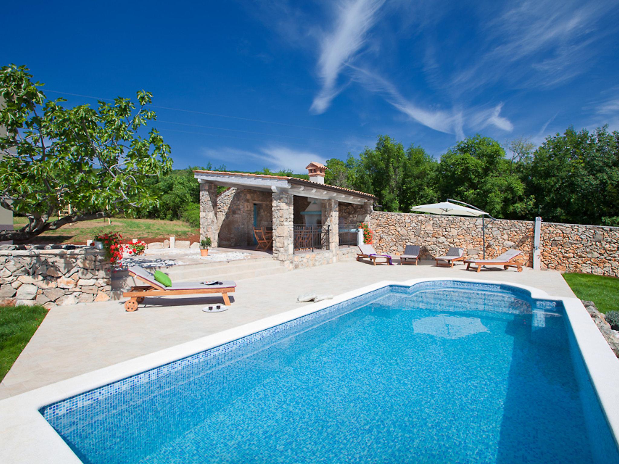 Foto 20 - Casa con 4 camere da letto a Raša con piscina privata e vista mare