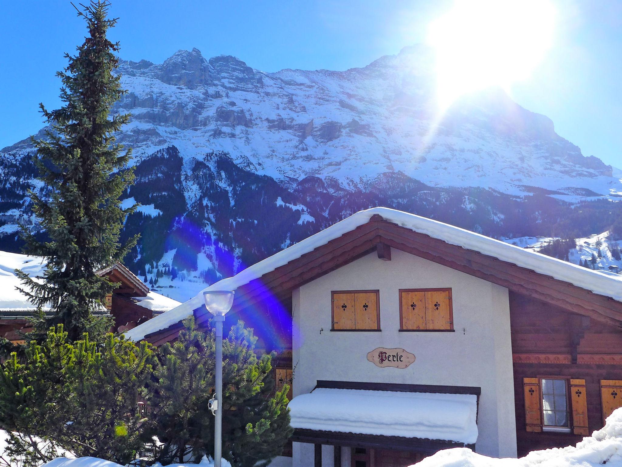 Foto 26 - Appartamento con 4 camere da letto a Grindelwald con giardino e terrazza