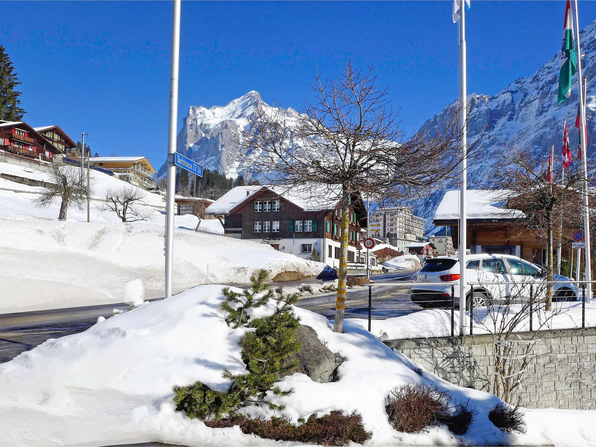 Photo 24 - 4 bedroom Apartment in Grindelwald with terrace and mountain view