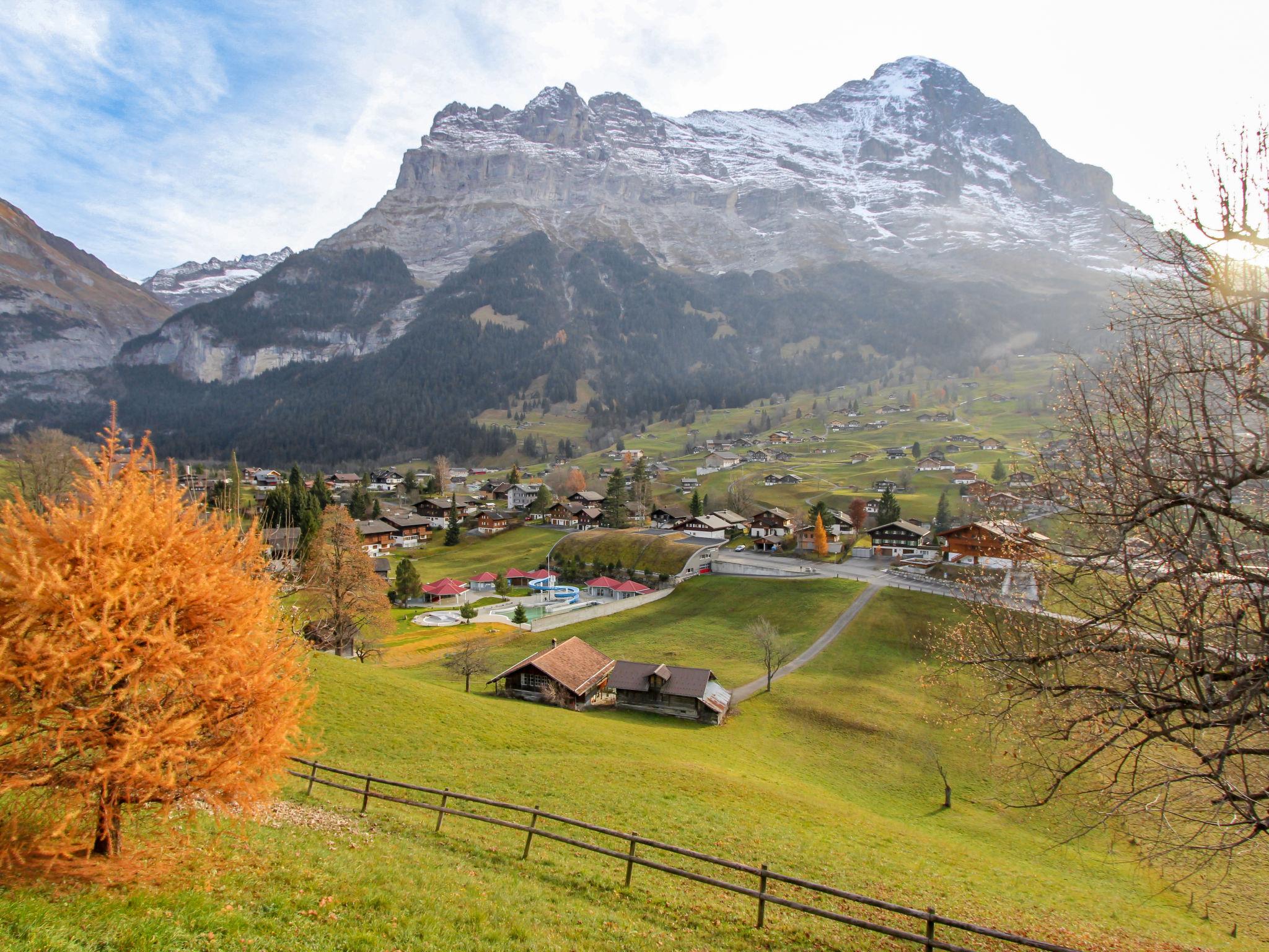 Photo 22 - Appartement de 4 chambres à Grindelwald avec jardin et terrasse