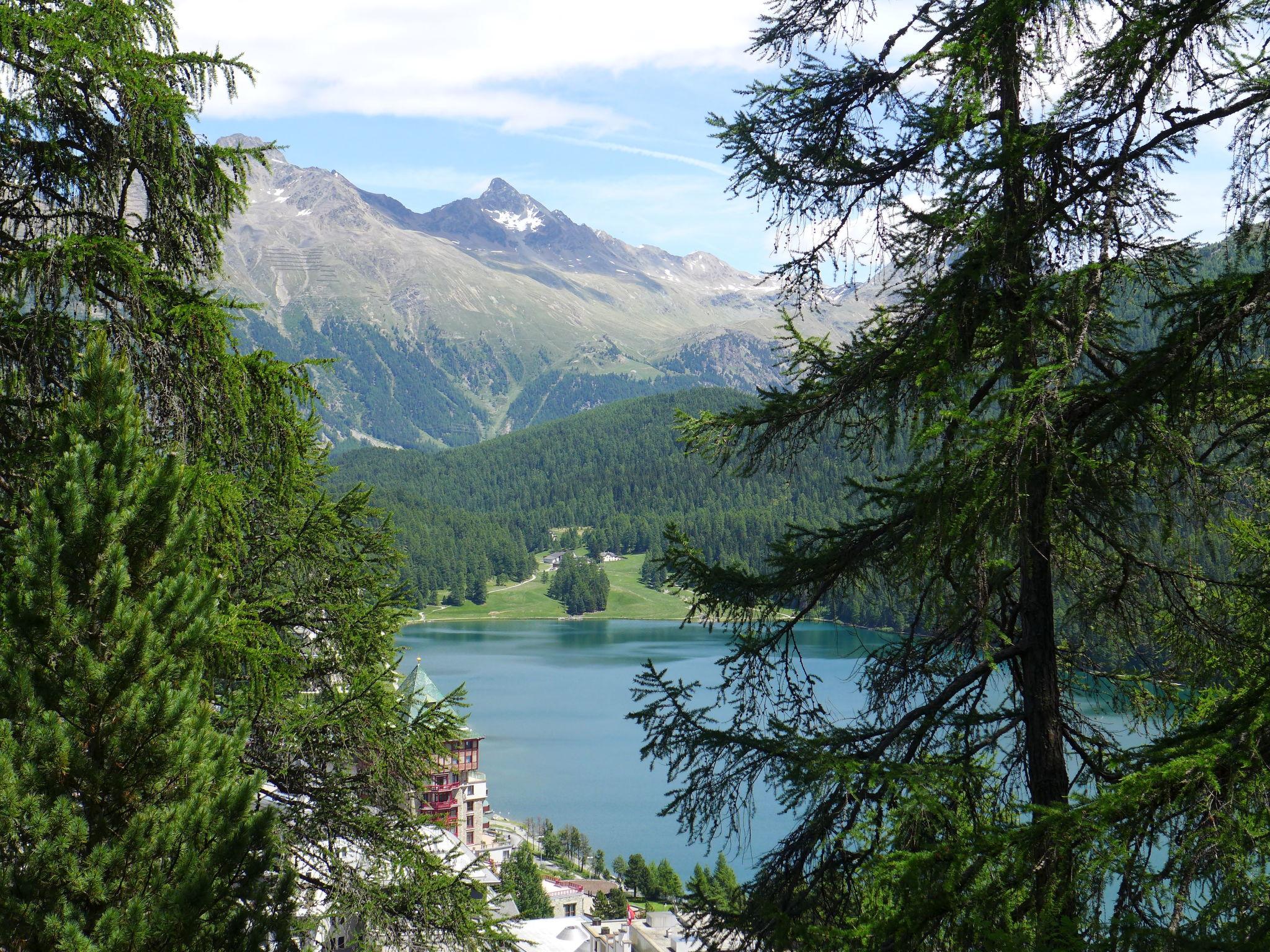 Foto 5 - Appartamento con 2 camere da letto a Sankt Moritz con giardino e vista sulle montagne