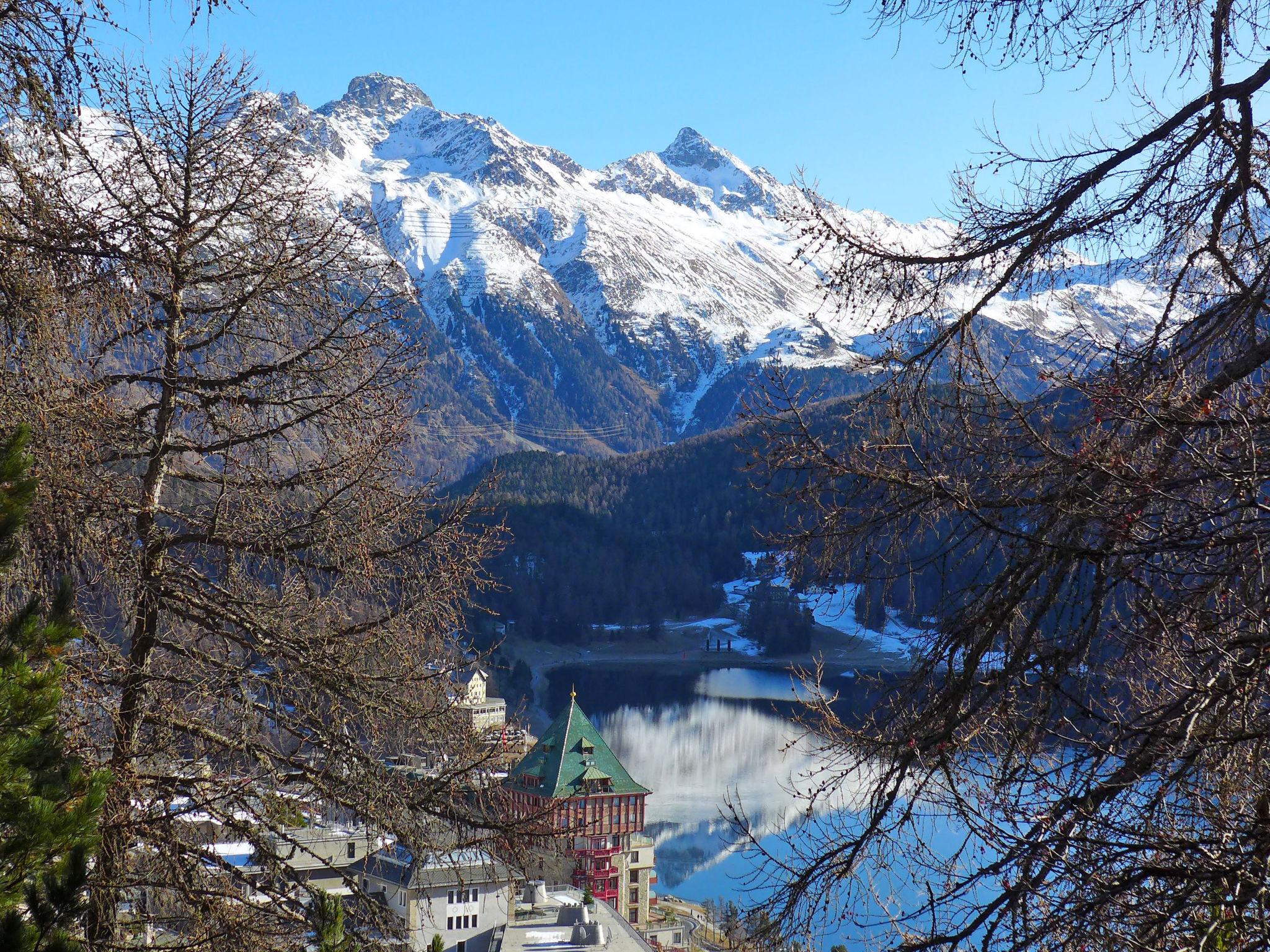 Foto 16 - Appartamento con 2 camere da letto a Sankt Moritz con giardino e vista sulle montagne