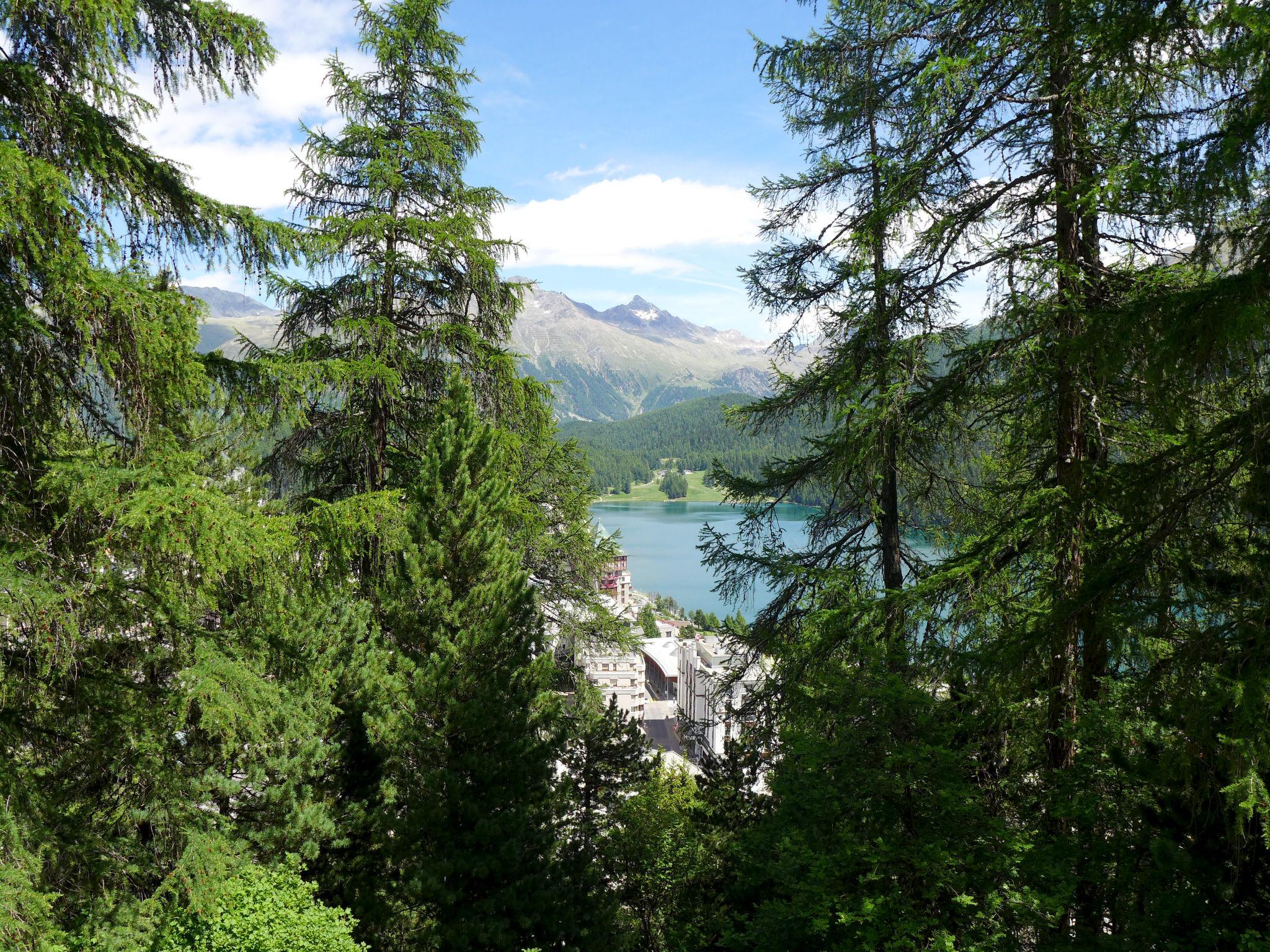 Foto 15 - Apartamento de 2 quartos em Sankt Moritz com jardim e vista para a montanha