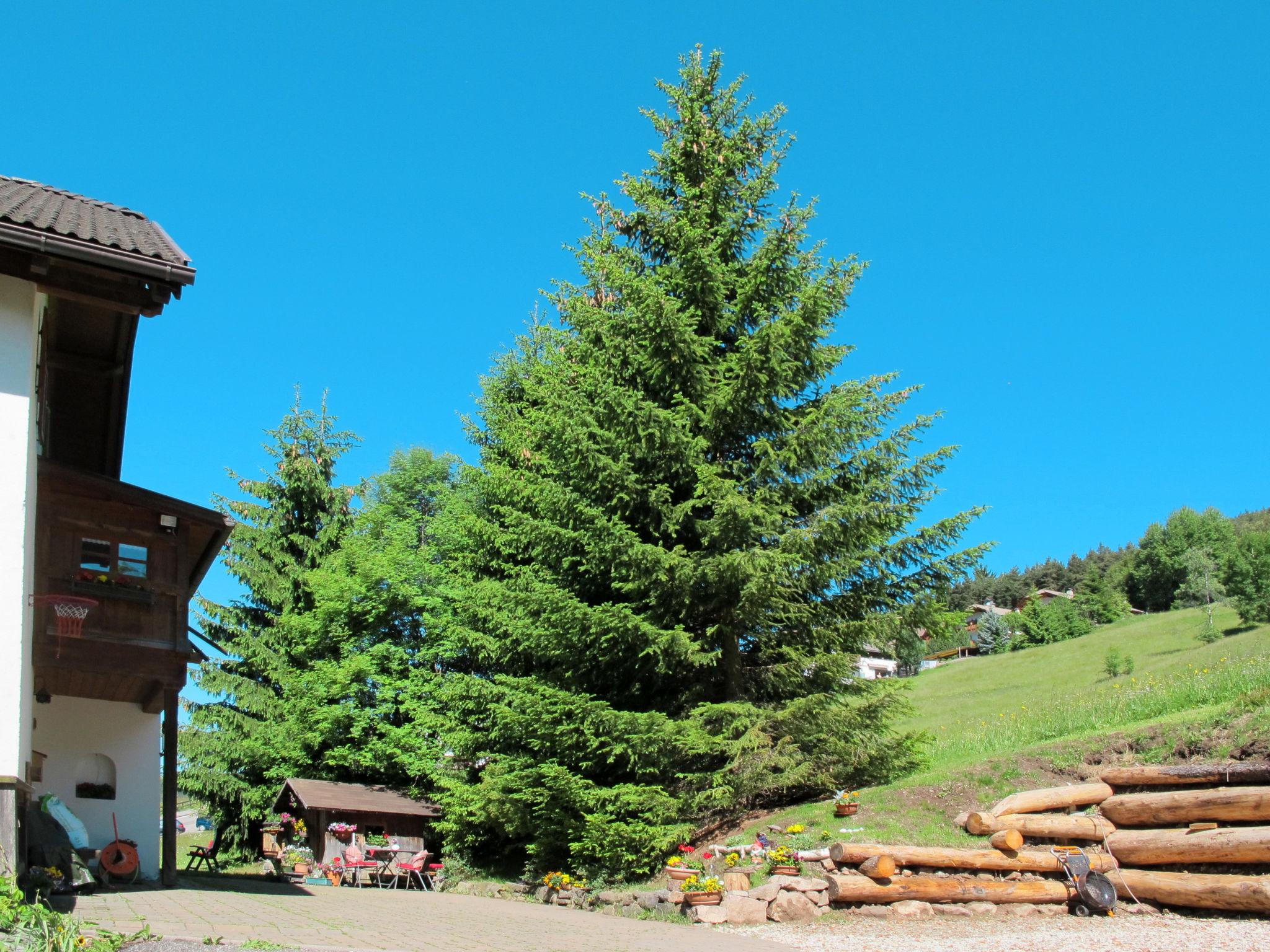 Photo 5 - Appartement de 3 chambres à Ortisei avec vues sur la montagne