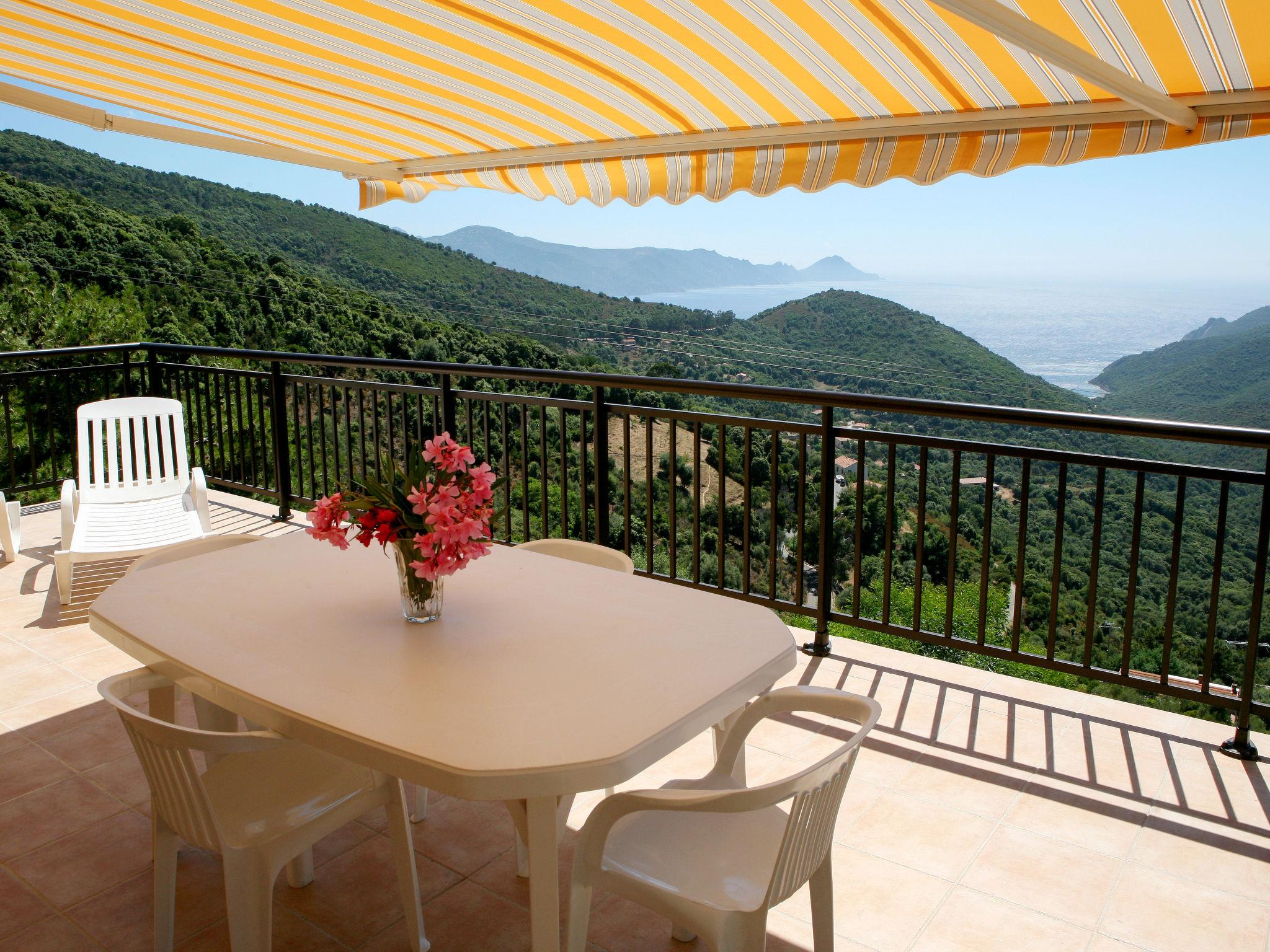 Photo 2 - 1 bedroom Apartment in Partinello with garden and sea view