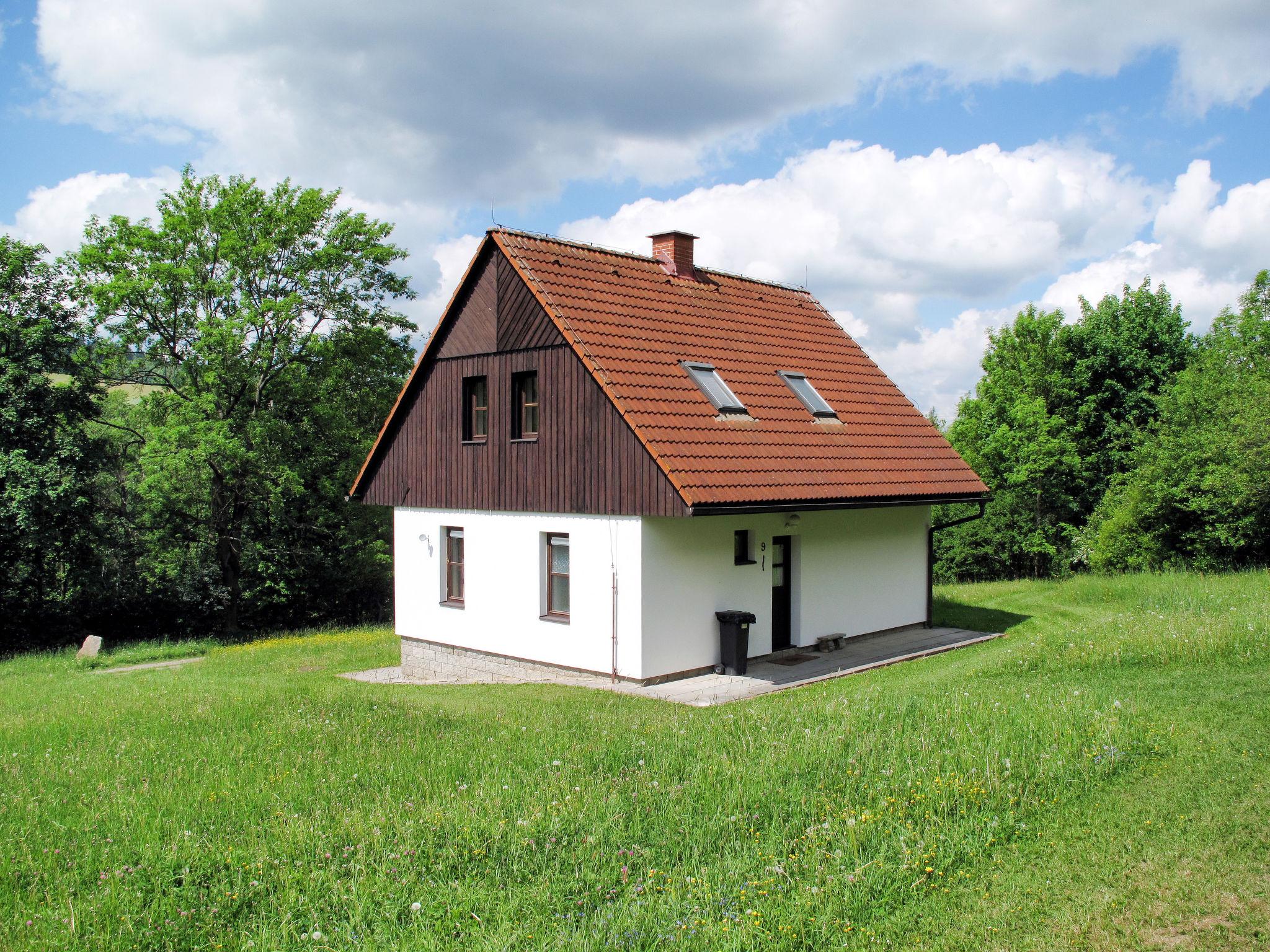 Photo 16 - Maison de 3 chambres à Stárkov avec piscine et jardin