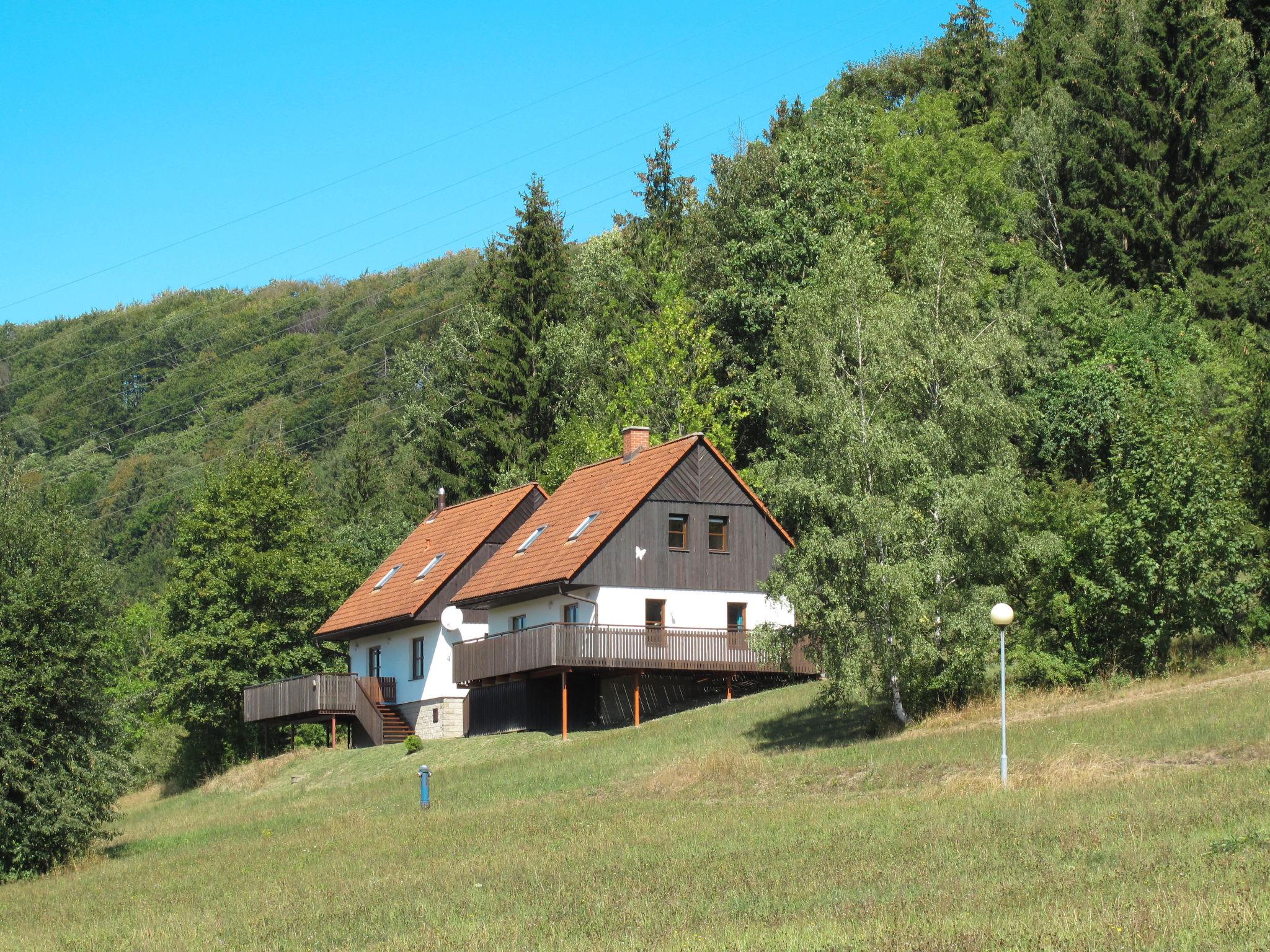 Photo 1 - Maison de 3 chambres à Stárkov avec piscine et jardin