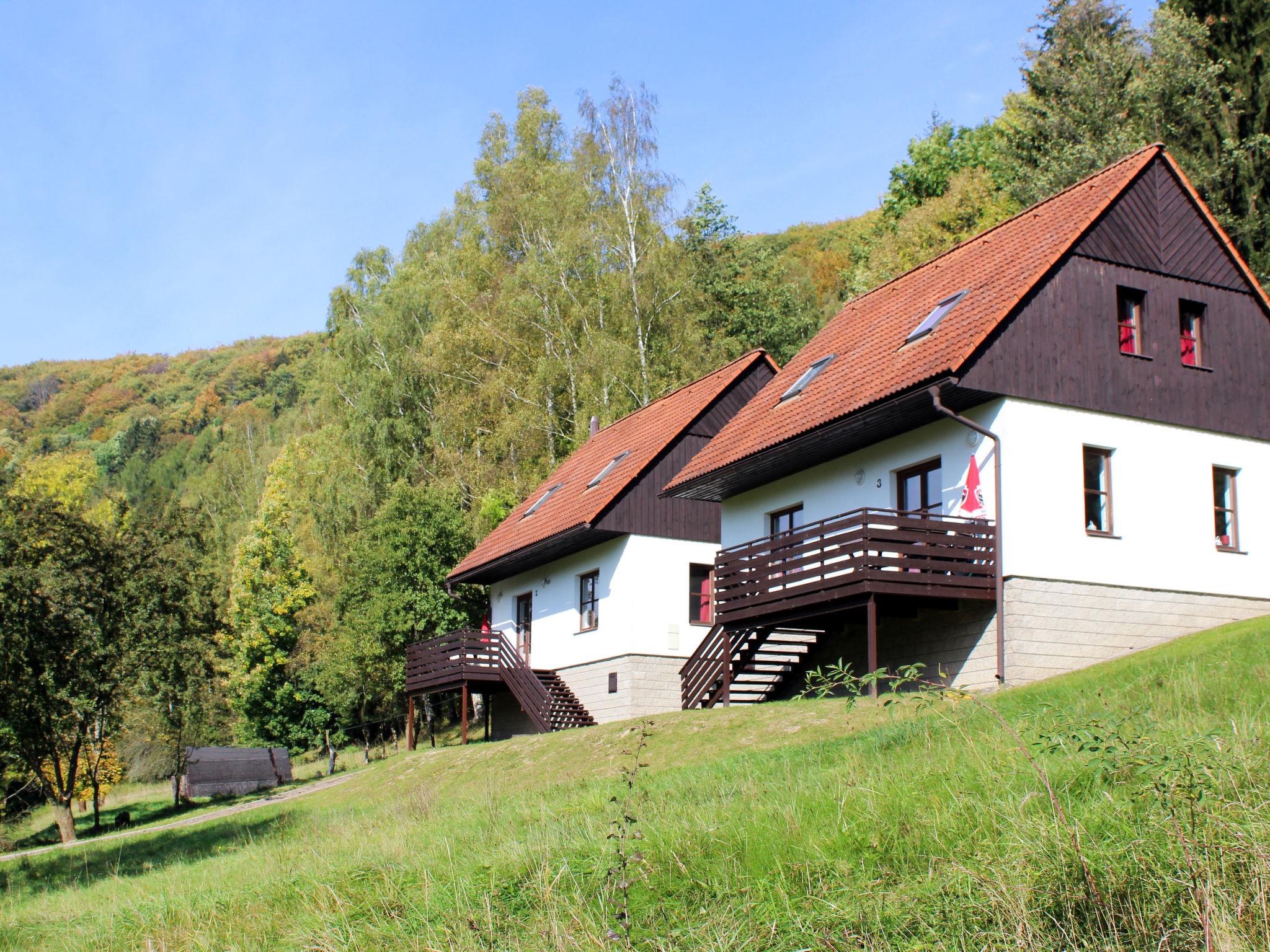 Foto 15 - Haus mit 3 Schlafzimmern in Stárkov mit schwimmbad und garten