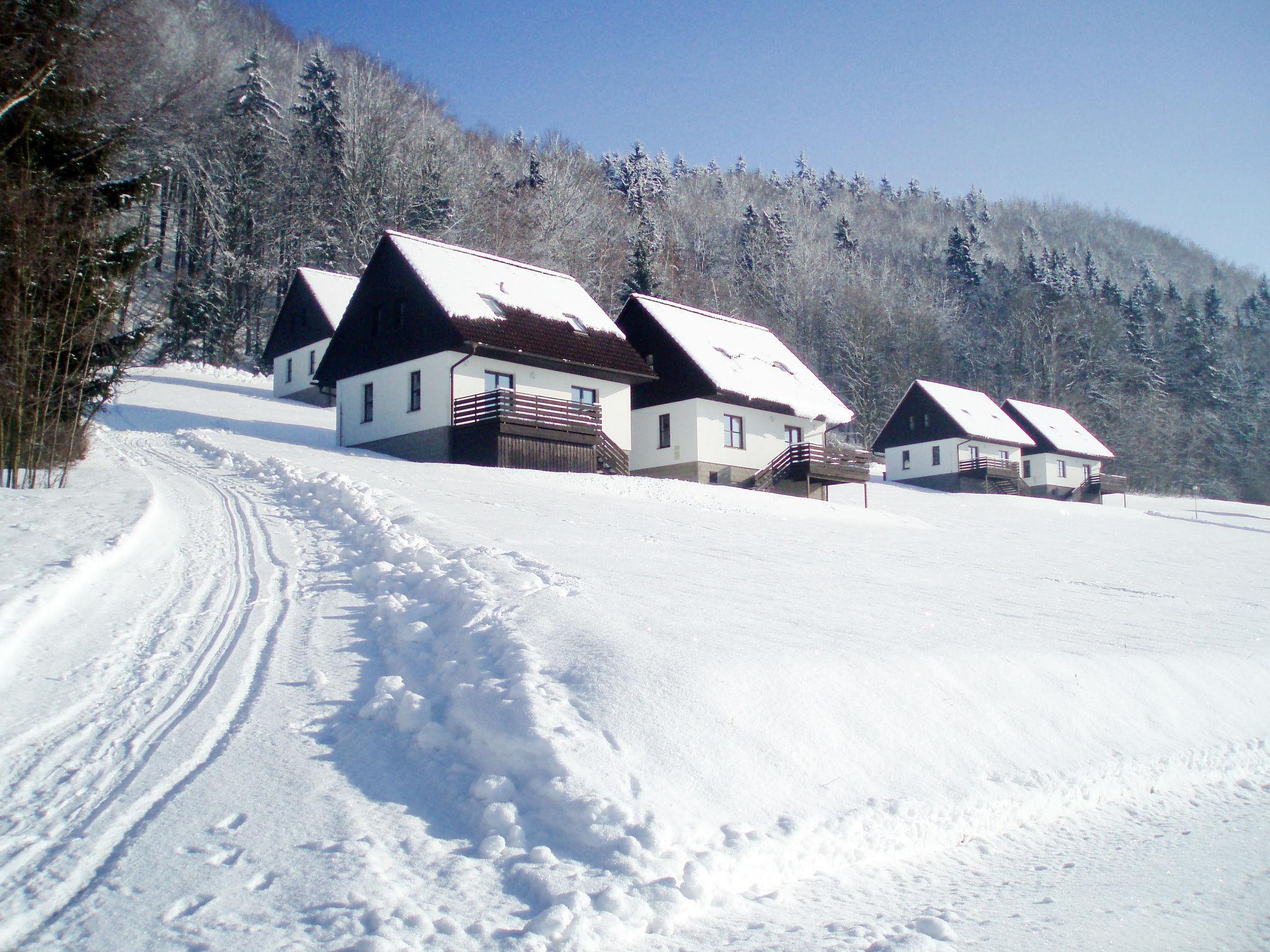 Photo 31 - 3 bedroom House in Stárkov with swimming pool and garden