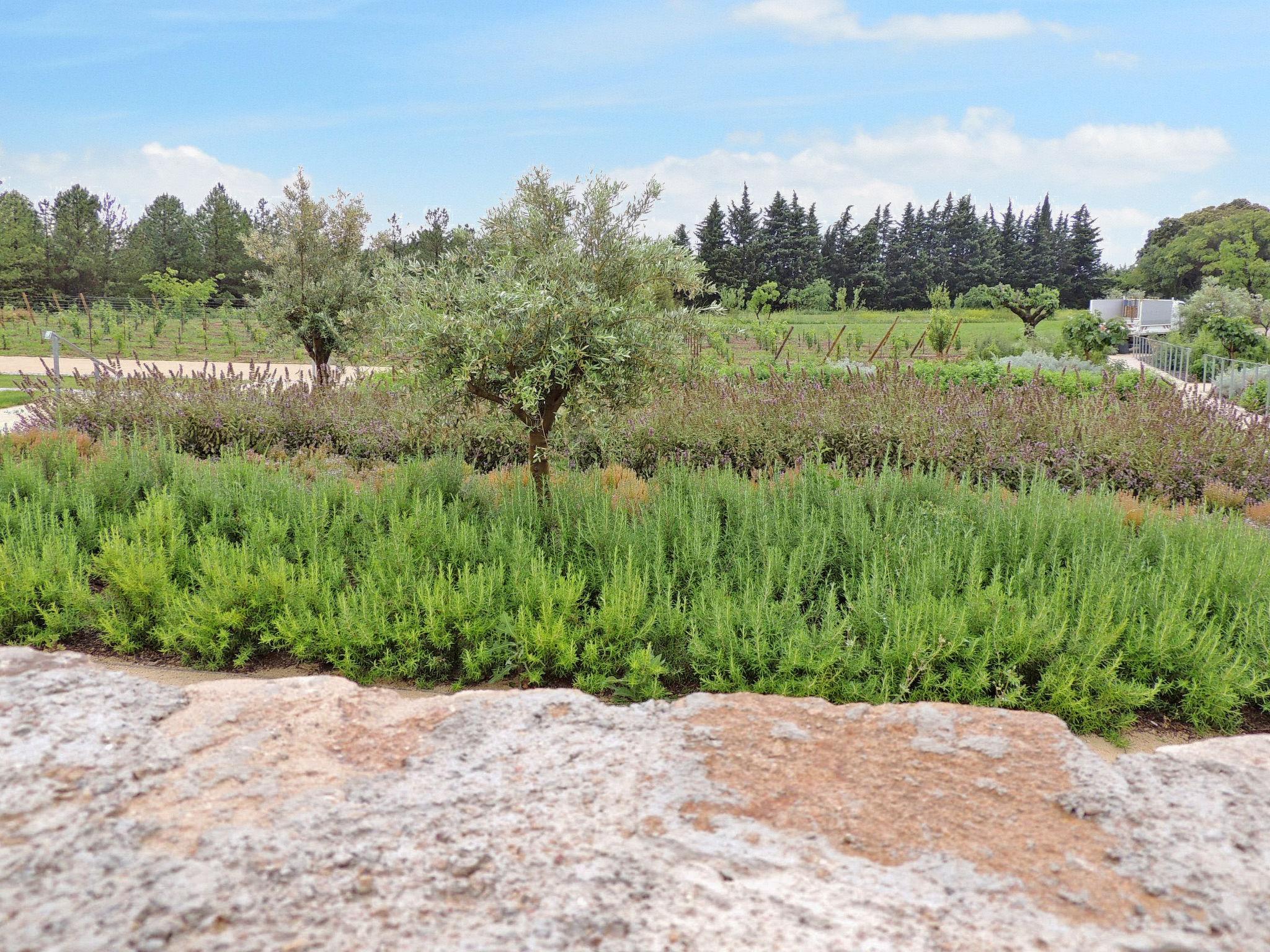 Foto 20 - Casa em Entre-Vignes com piscina e jardim