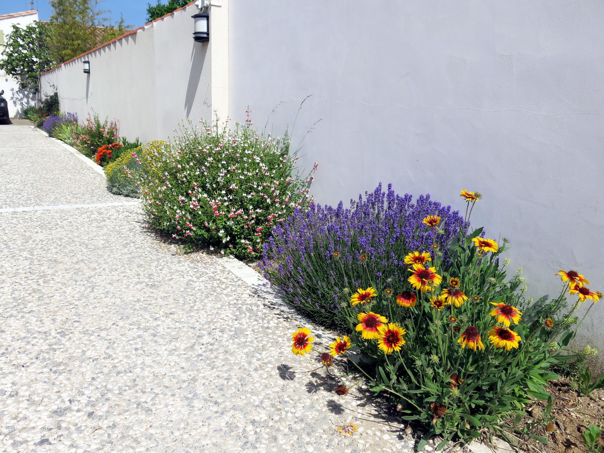 Photo 17 - Maison de 2 chambres à La Flotte avec jardin et terrasse