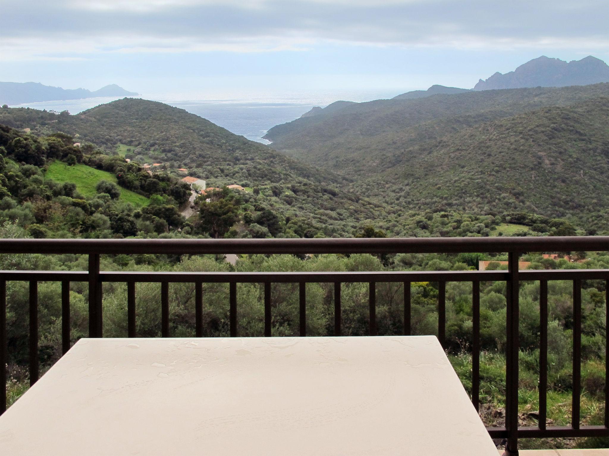 Photo 2 - Appartement en Partinello avec jardin et terrasse