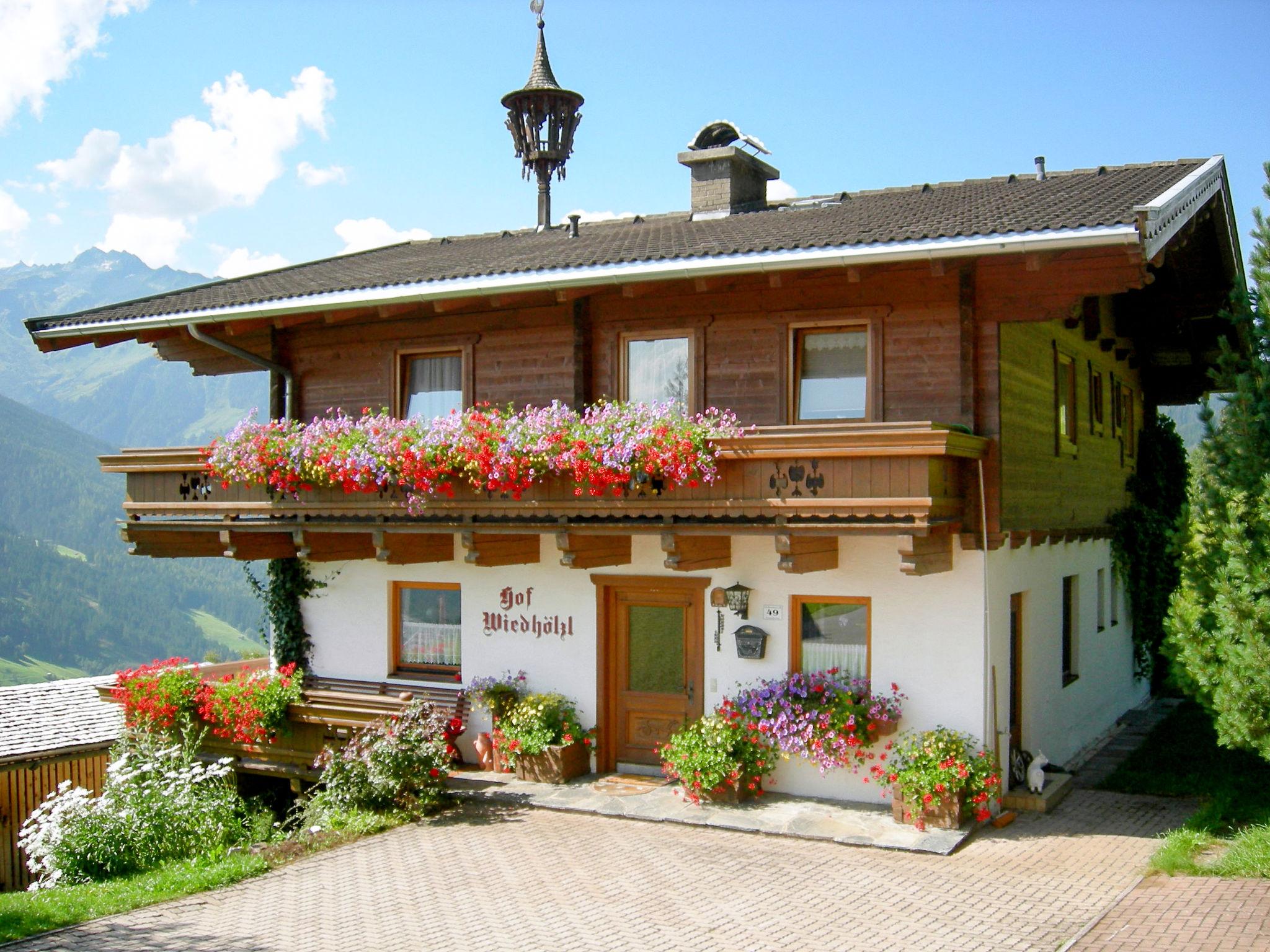 Foto 6 - Appartamento con 3 camere da letto a Bramberg am Wildkogel con giardino e vista sulle montagne