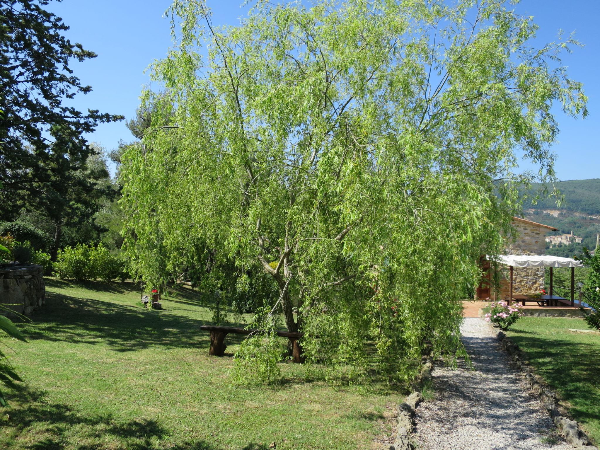 Photo 27 - Apartment in Castelnuovo di Val di Cecina with swimming pool and garden