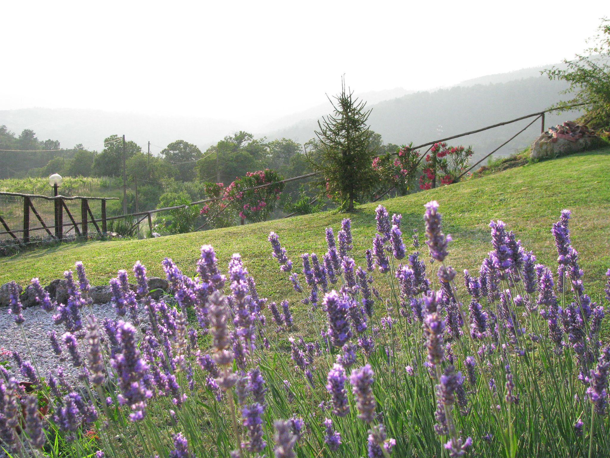 Photo 26 - Apartment in Castelnuovo di Val di Cecina with swimming pool and garden