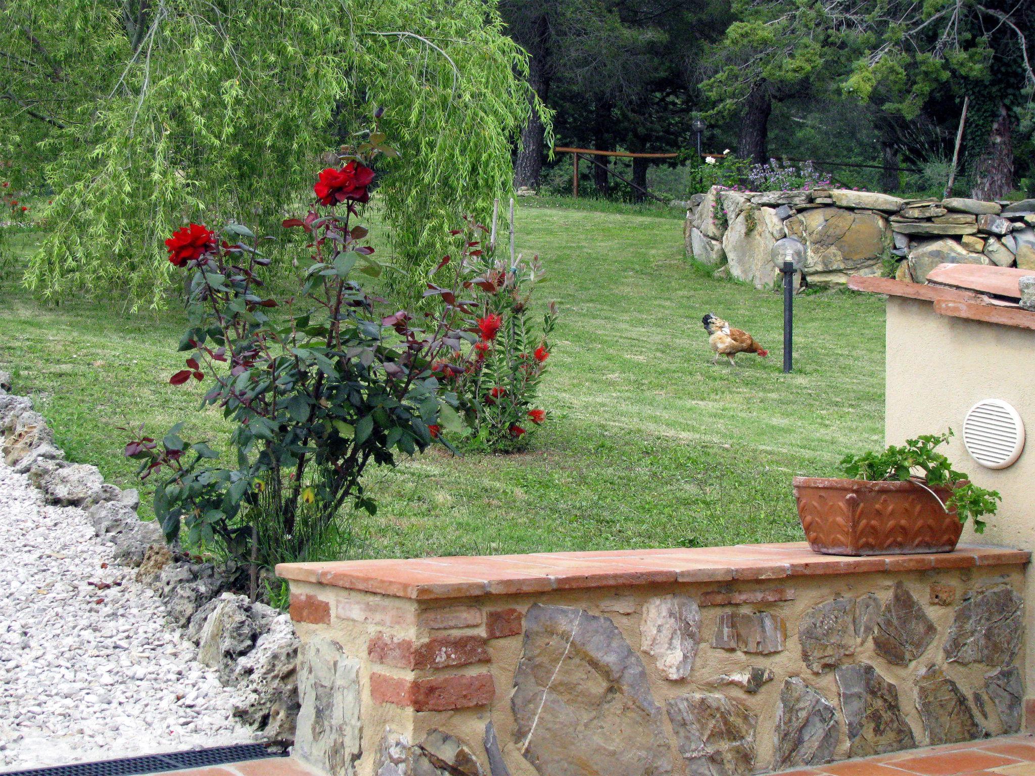 Foto 25 - Appartamento a Castelnuovo di Val di Cecina con piscina e giardino