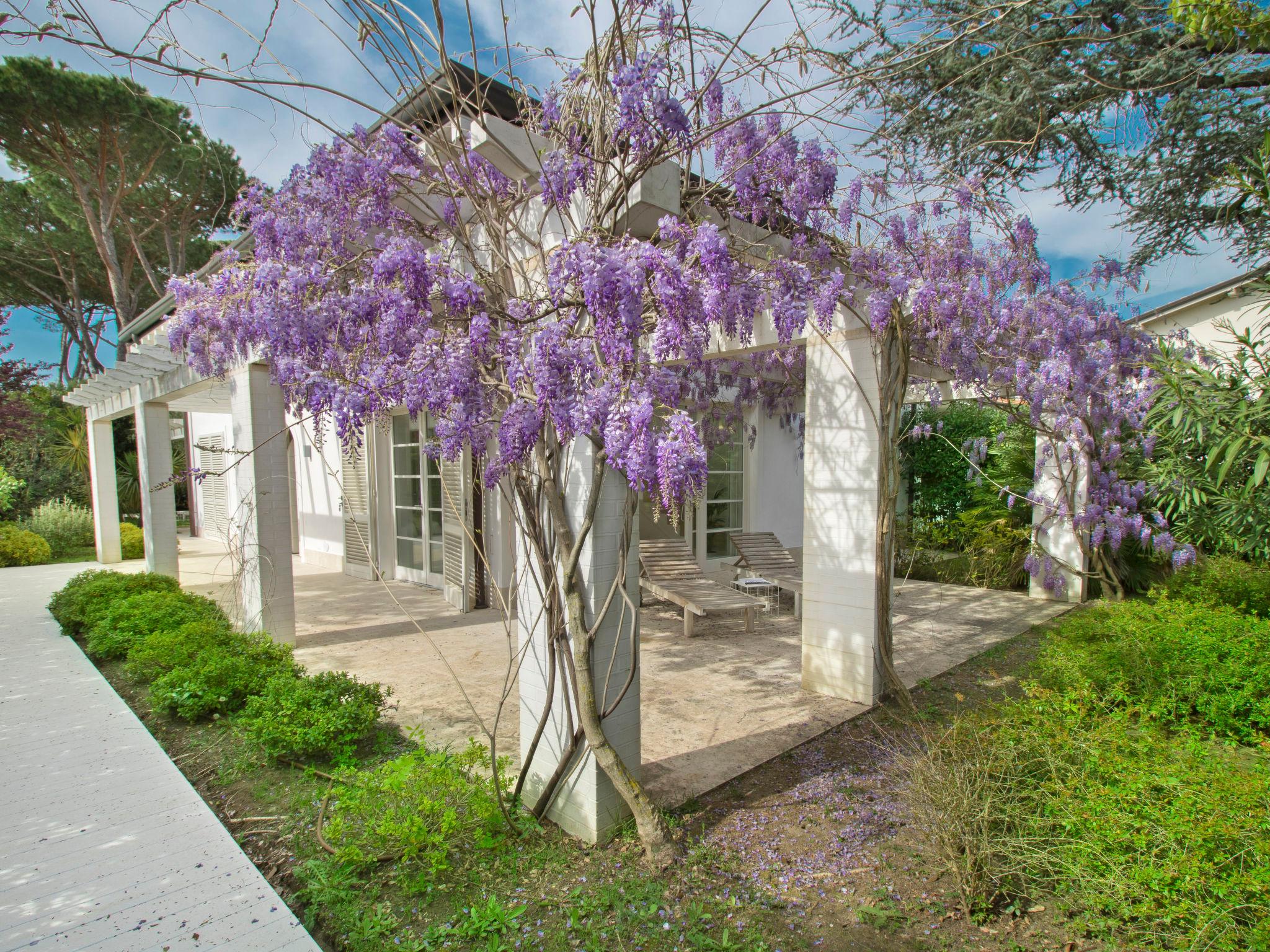 Foto 3 - Casa de 4 quartos em Forte dei Marmi com jardim