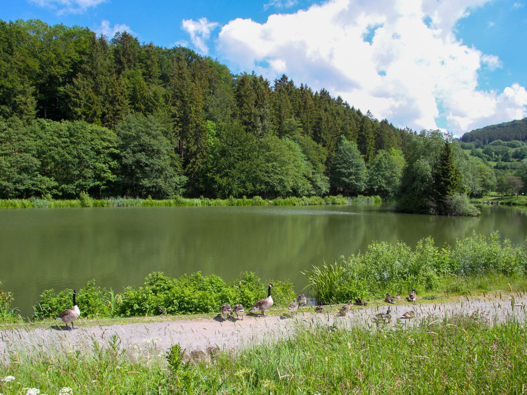 Foto 16 - Apartamento en Willingen (Upland) con vistas a la montaña