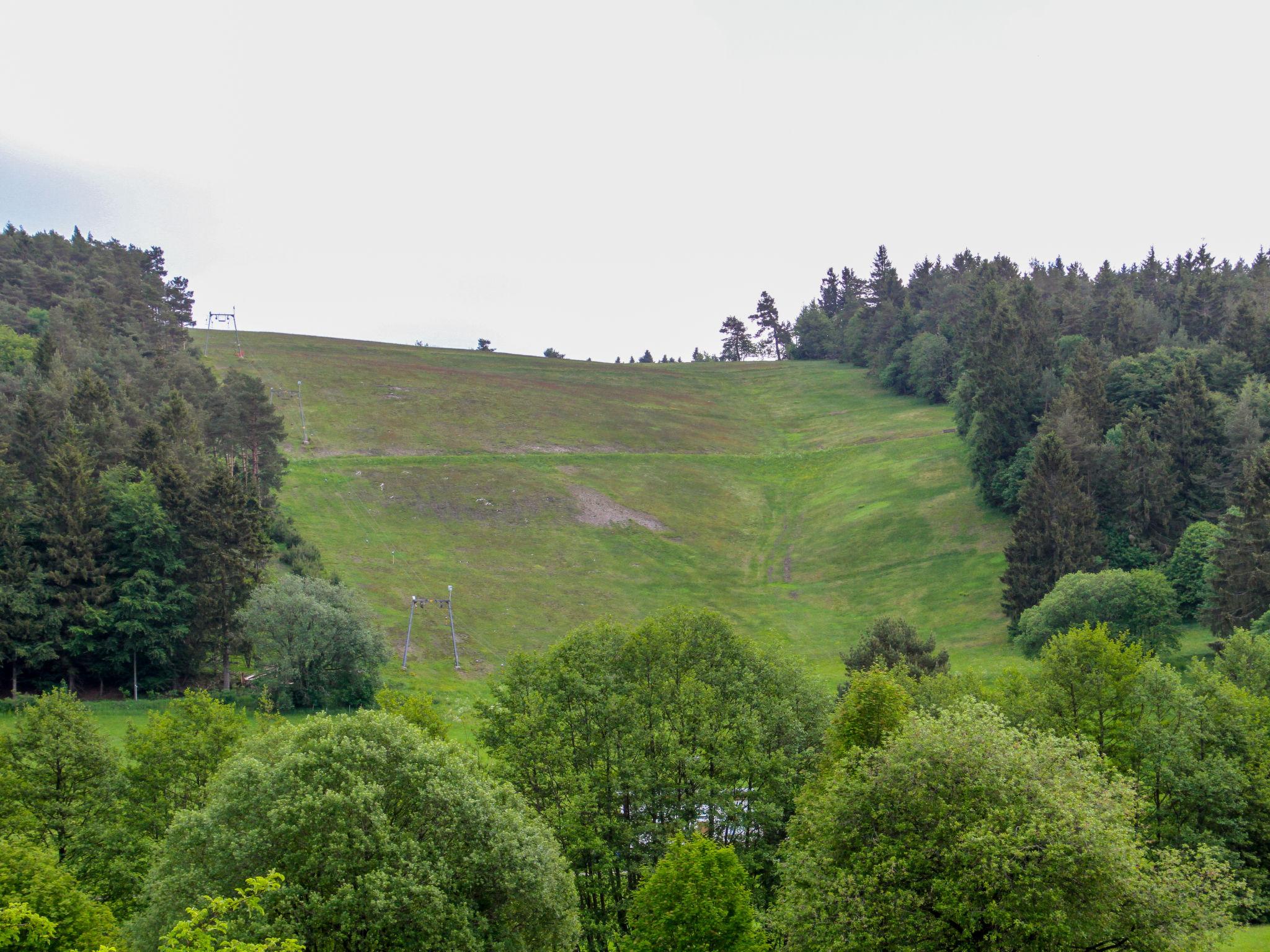 Foto 18 - Apartment in Willingen (Upland) mit blick auf die berge