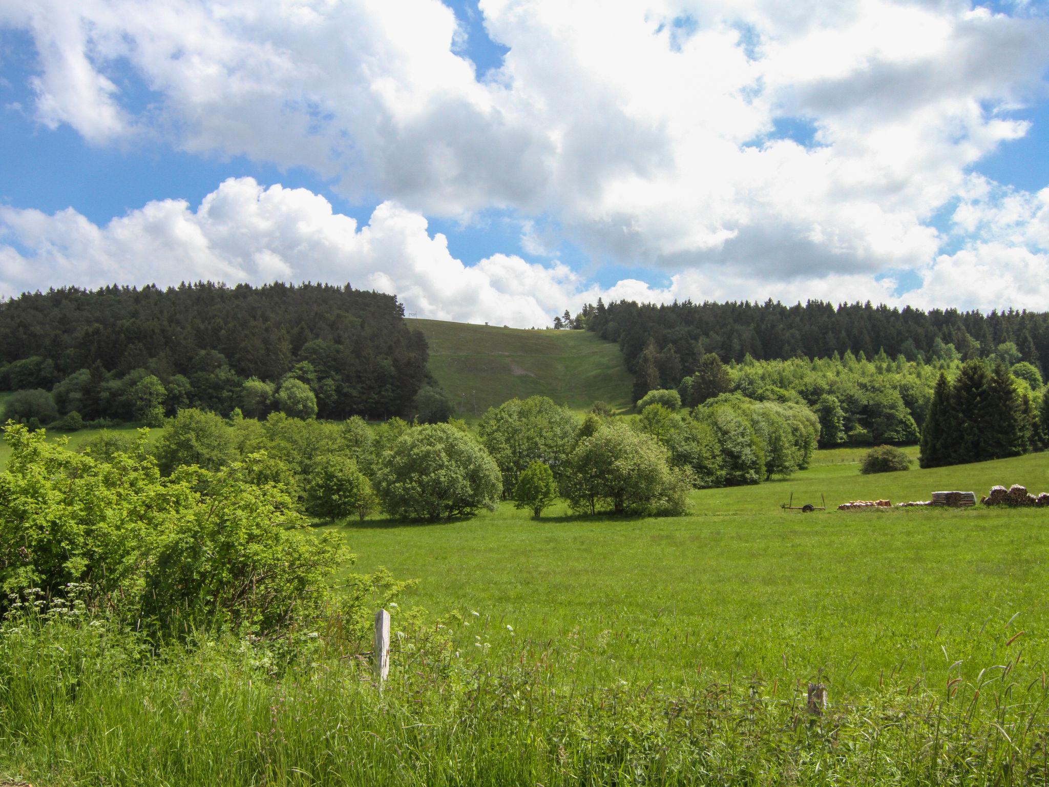 Foto 15 - Apartamento en Willingen (Upland) con vistas a la montaña