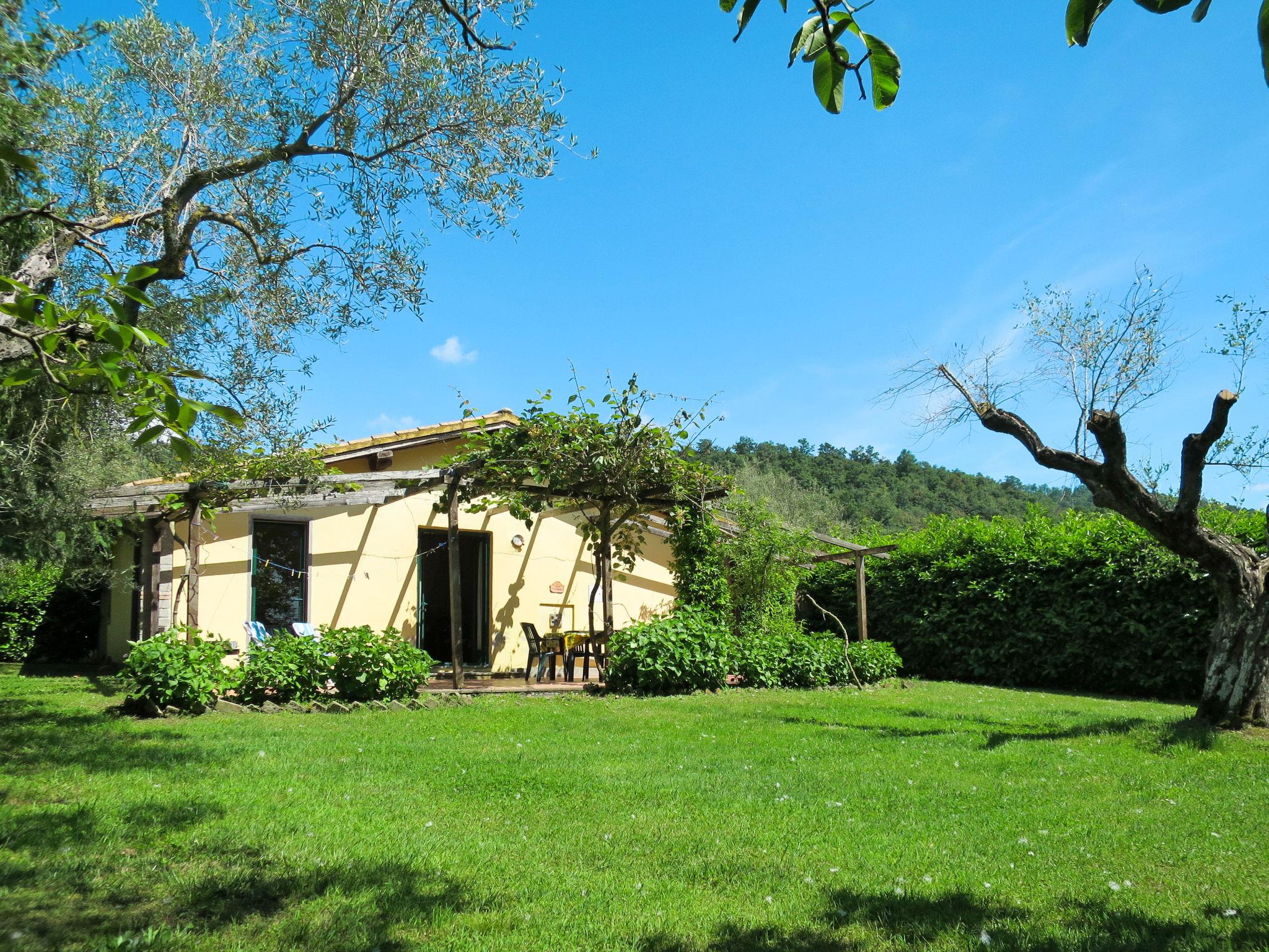 Foto 17 - Casa con 2 camere da letto a Montefiascone con giardino e terrazza