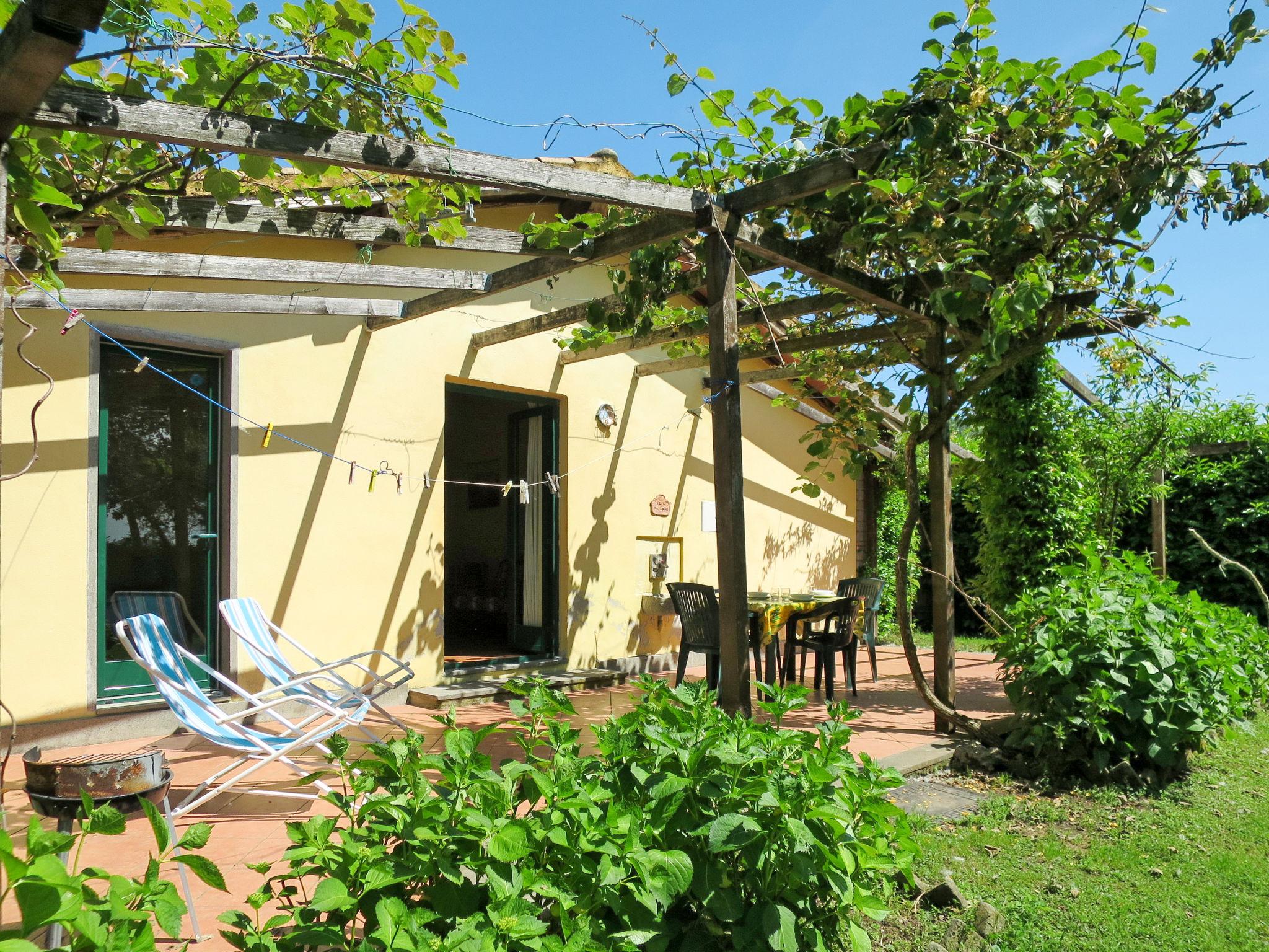 Photo 4 - Maison de 2 chambres à Montefiascone avec jardin et terrasse