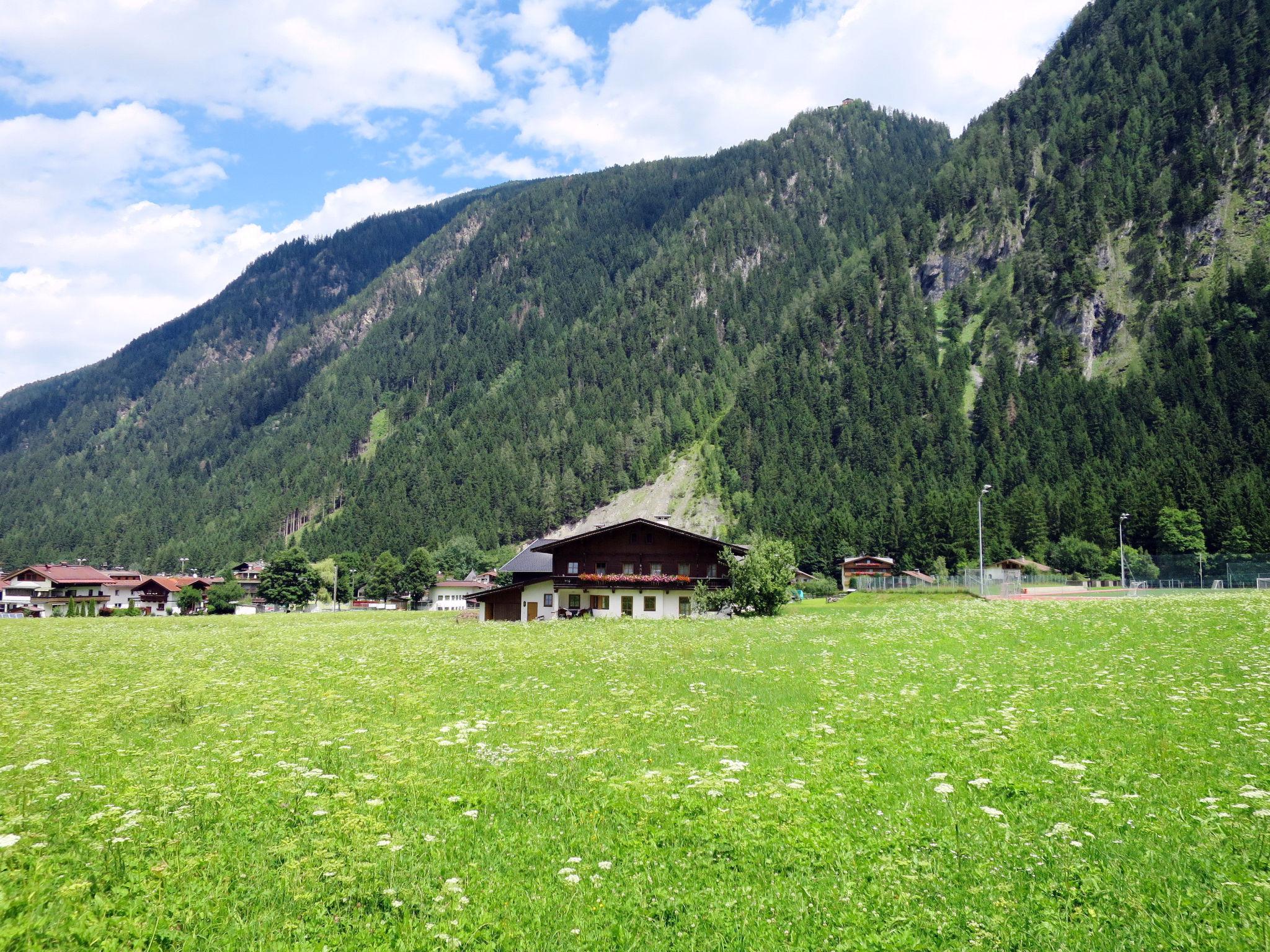 Foto 17 - Apartamento de 1 habitación en Mayrhofen con jardín y terraza