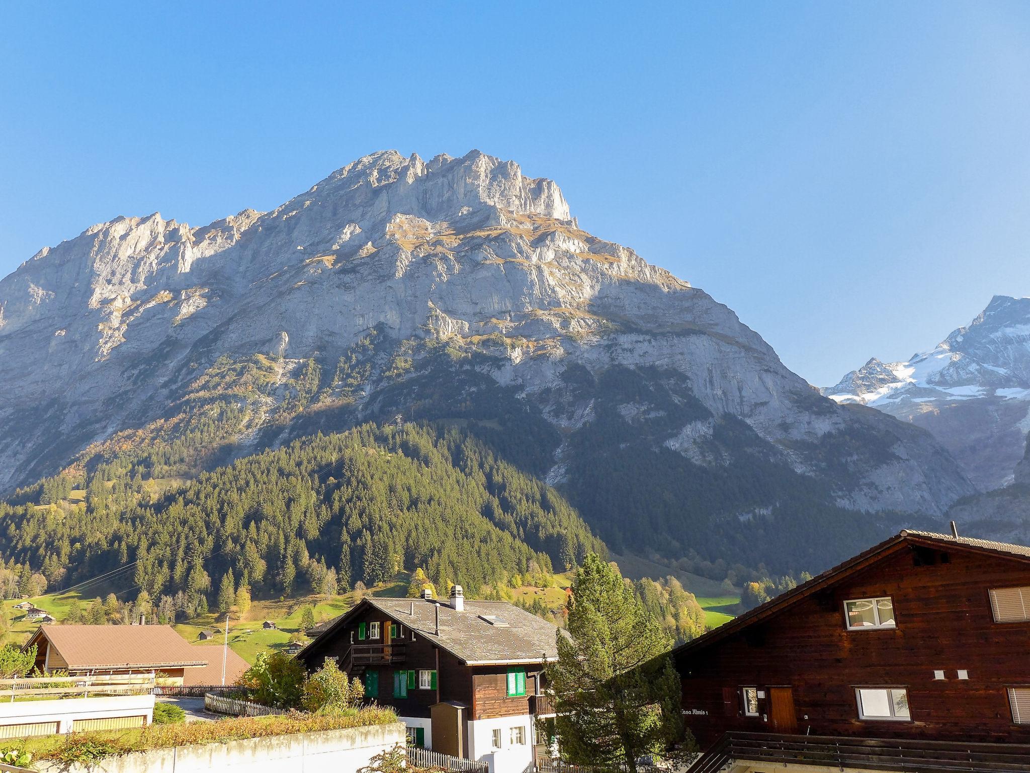 Foto 11 - Apartamento de 1 quarto em Grindelwald com jardim e terraço